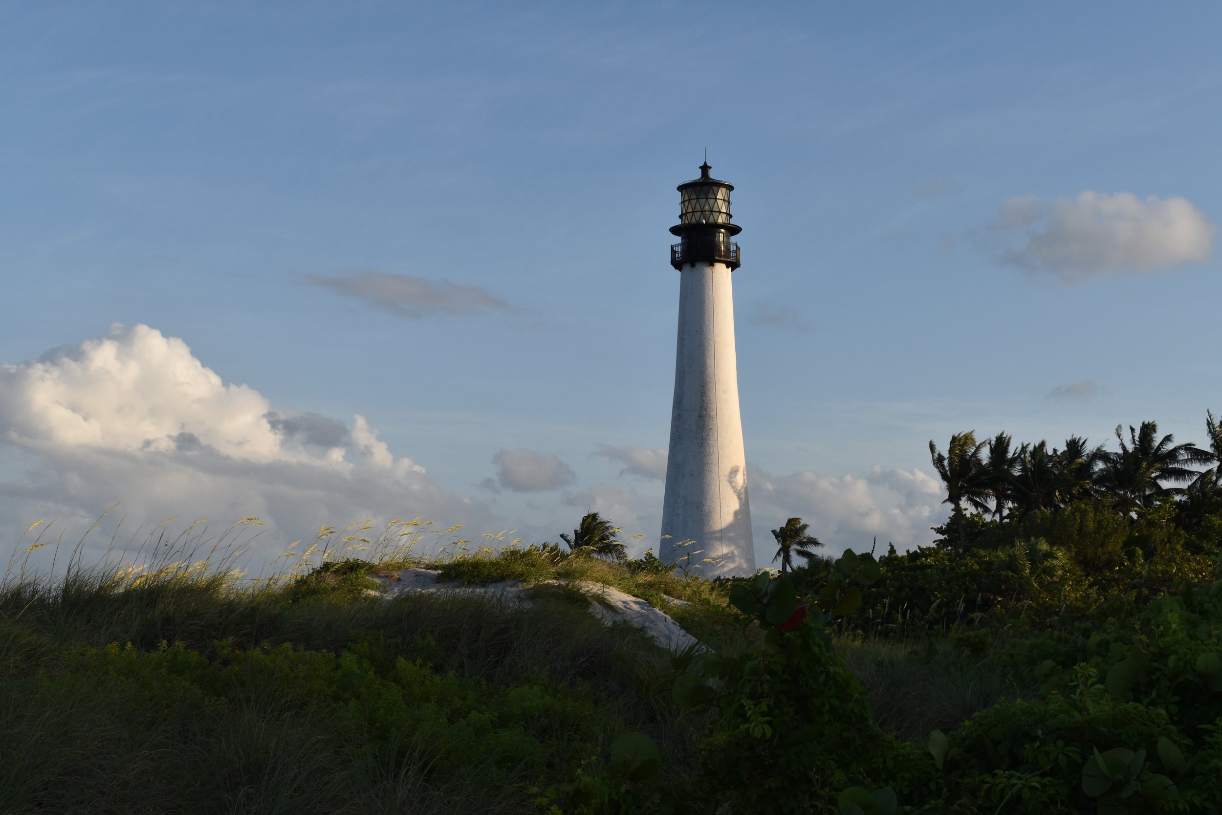 DSC_2180.JPG