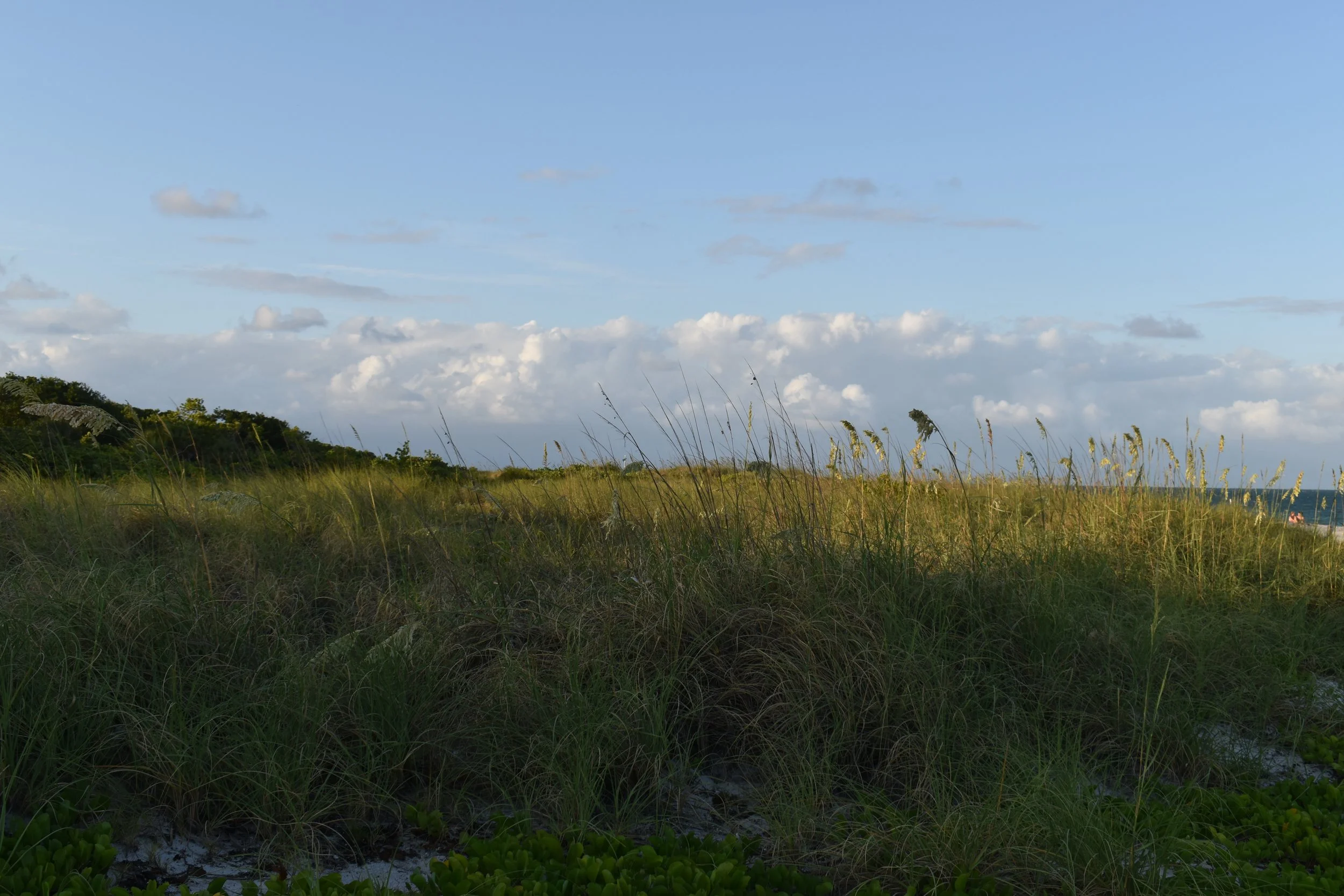 DSC_2200.JPG