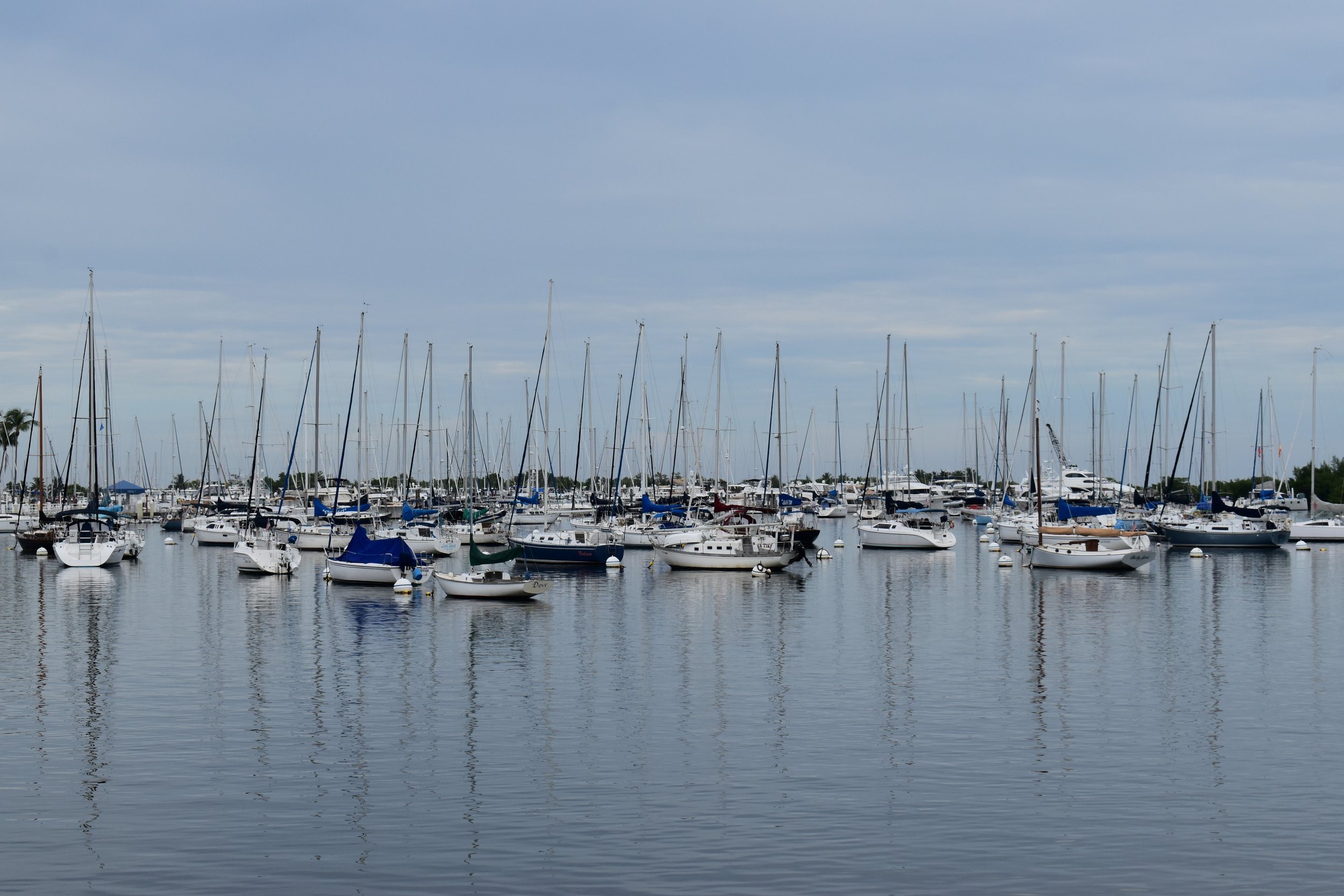 DSC_3923.JPG