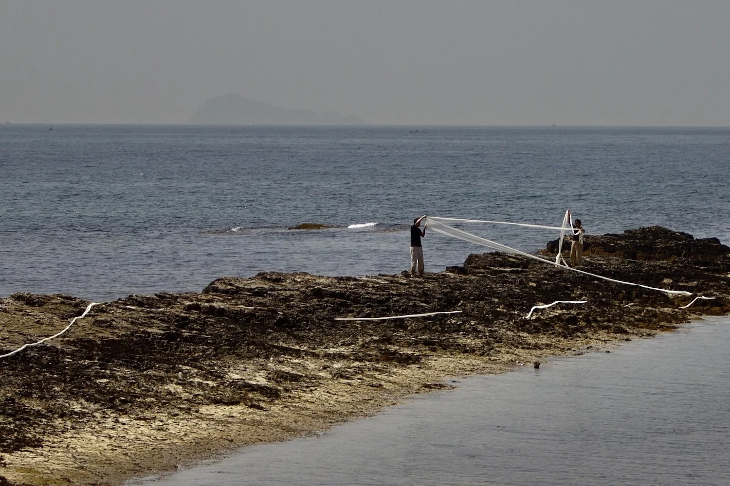 Caminantes video installation with projected coastal footage extending across an interior exhibition wall. / 《Caminantes》の海岸での映像が室内の展示壁面に大きく投影されたビデオ・インスタレーション。
