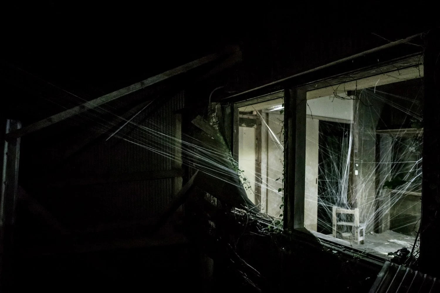 Tensor Flow (2018) is a temporary installation by Elgueda Ward Studio exploring light, tension, balance, and shifting relationships within space.《Tensor Flow》（2018）は、光、張力、均衡、空間のなかで変化する関係を探る、エルゲダ・ウォード・スタジオの仮設インスタレーションです。