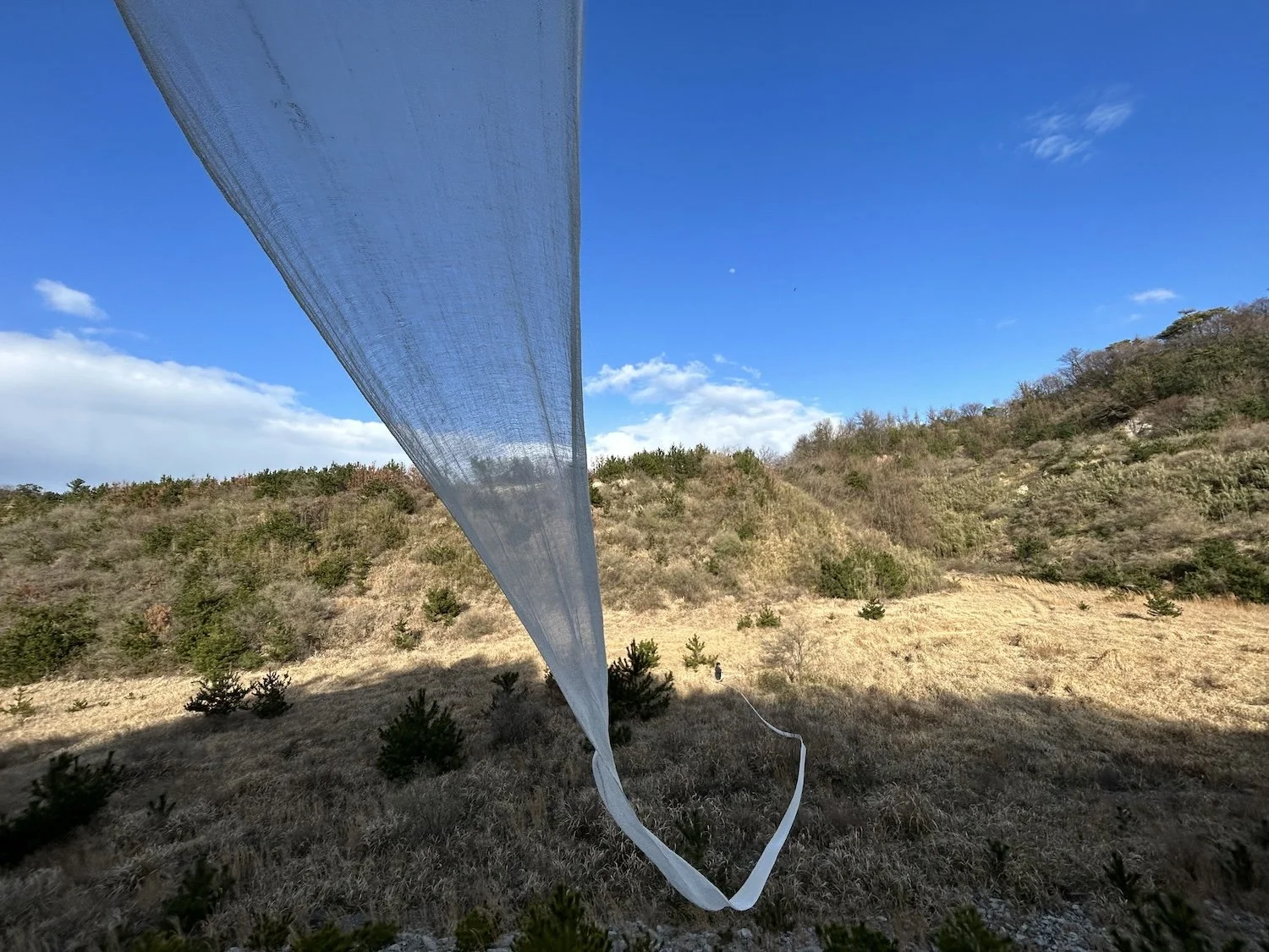 Long translucent fabric extending through a grassy hillside landscape beneath a blue sky as part of Elgueda Ward Studio’s Caminantes practice. / エルゲダ・ウォード・スタジオ《Caminantes》の実践として、青空の下の草地と丘陵に長い半透明の布が伸びている。