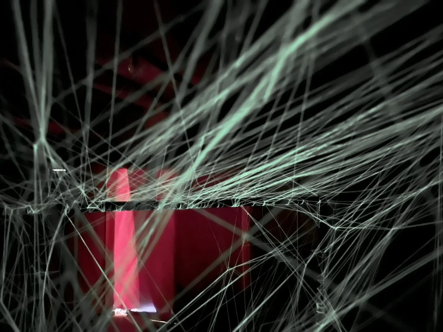 Intersecting threads in the String Memory installation extending through the interior, with a red architectural element visible behind them. / 《String Memory》の室内を交差して伸びる糸と、その奥に見える赤い建築要素。