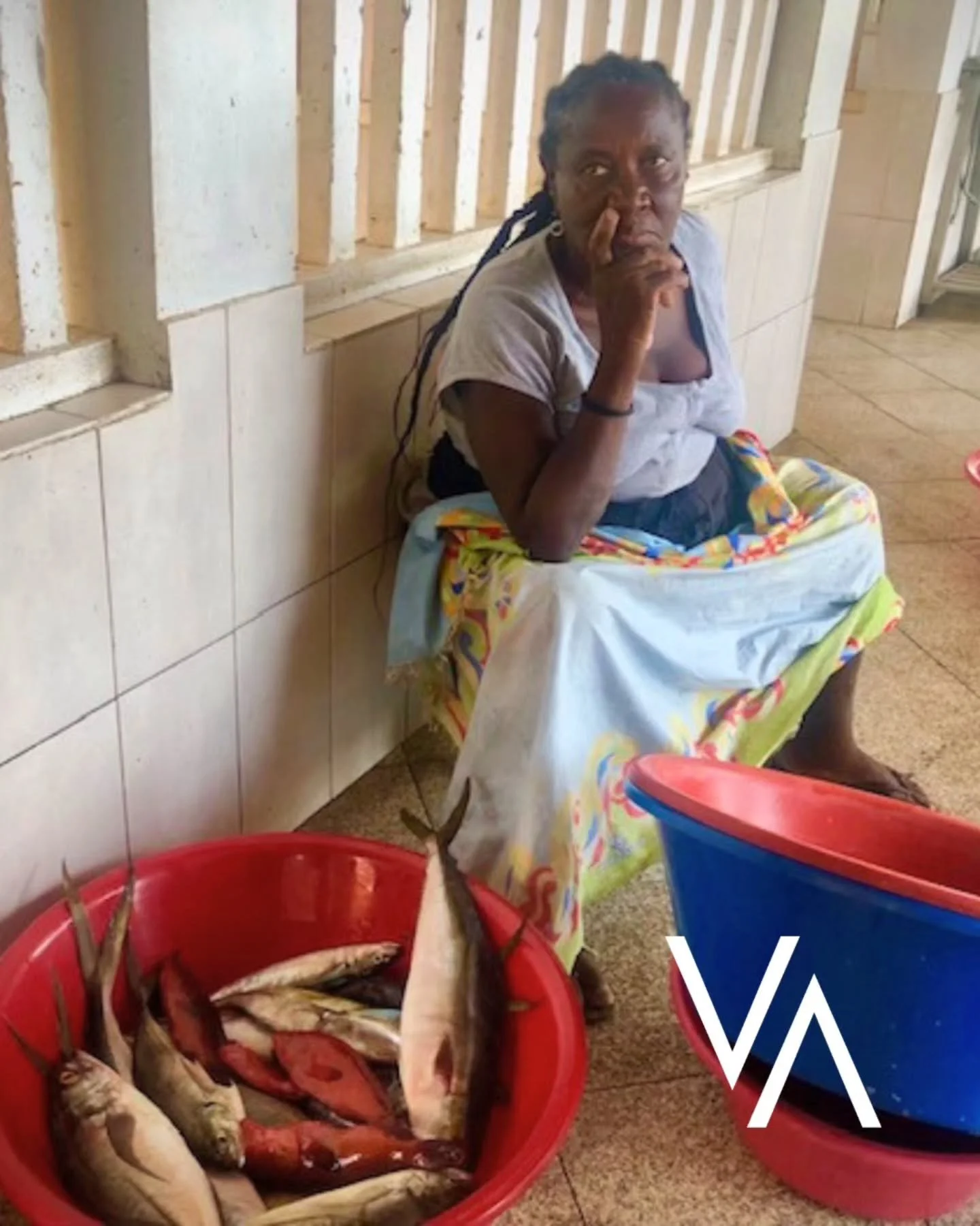 Cando os espazos naturais con boa sa&uacute;de escasean, c&oacute;mpre dirixir unha ollada aos lugares m&aacute;is desfavorecidos, pois &eacute; al&iacute; onde a cot&iacute;o a&iacute;nda se conservan case intactos os ecosistemas🐟🌱

📍Dous deses l