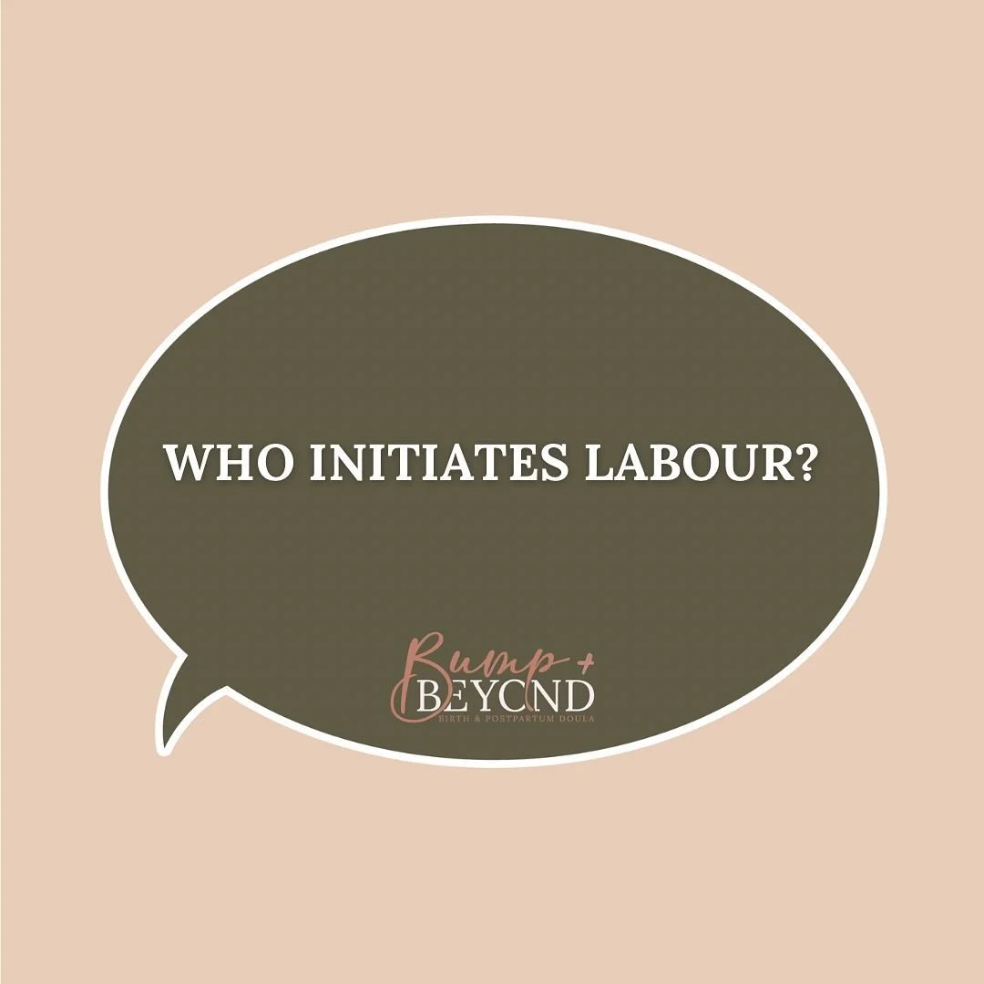 👶🏼 WHO INITIATES LABOUR? 👶🏼

Many women may think that once their body is ready to go into labour, spontaneous labour will begin. But it isn&rsquo;t actually your body that initiates labour, it&rsquo;s your BABY! 

Many important changes happen i
