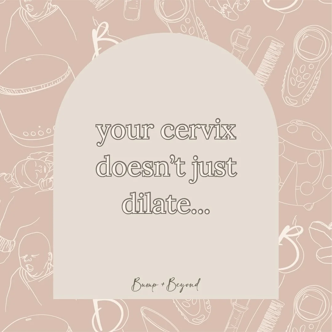 Your cervix doesn&rsquo;t just dilate&hellip;

It does SO much more than that to prepare for labour and birth.

I know those final days and weeks can feel like an eternity, but know, just like your baby is making some final changes to prepare for bir