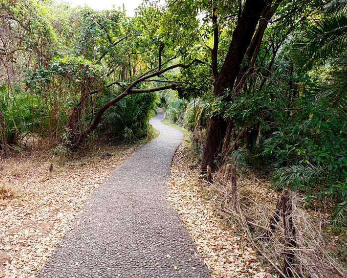 ..oder idyllischer Radweg?
