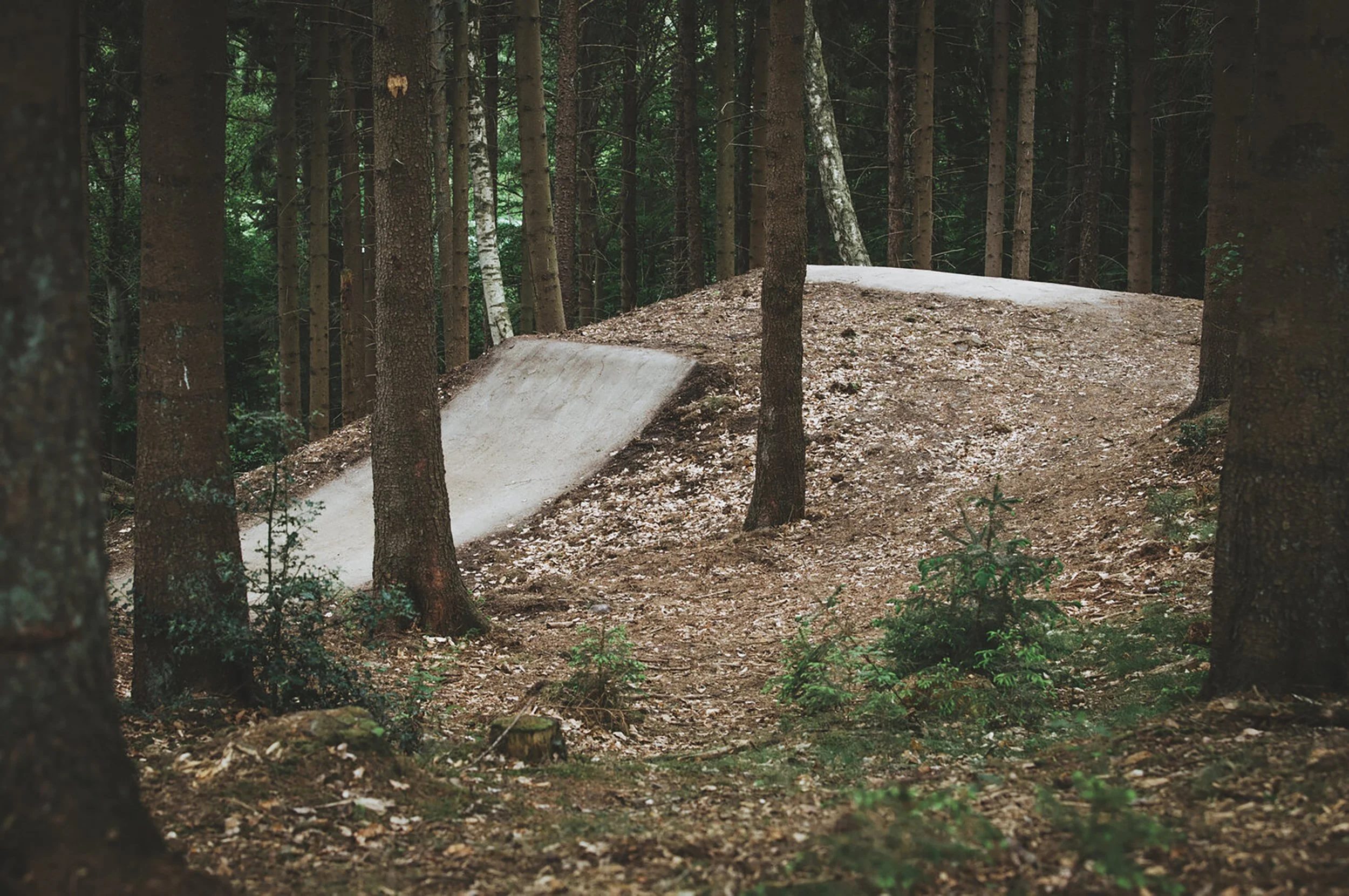 trailtech_at_silkeborg05.jpg
