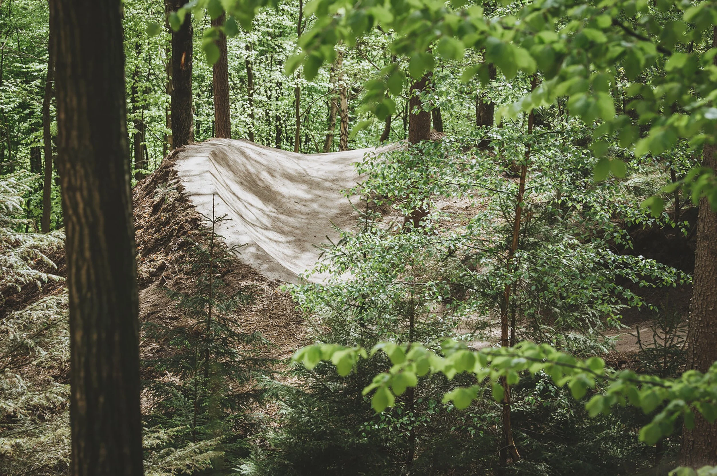 trailtech_at_silkeborg07.jpg
