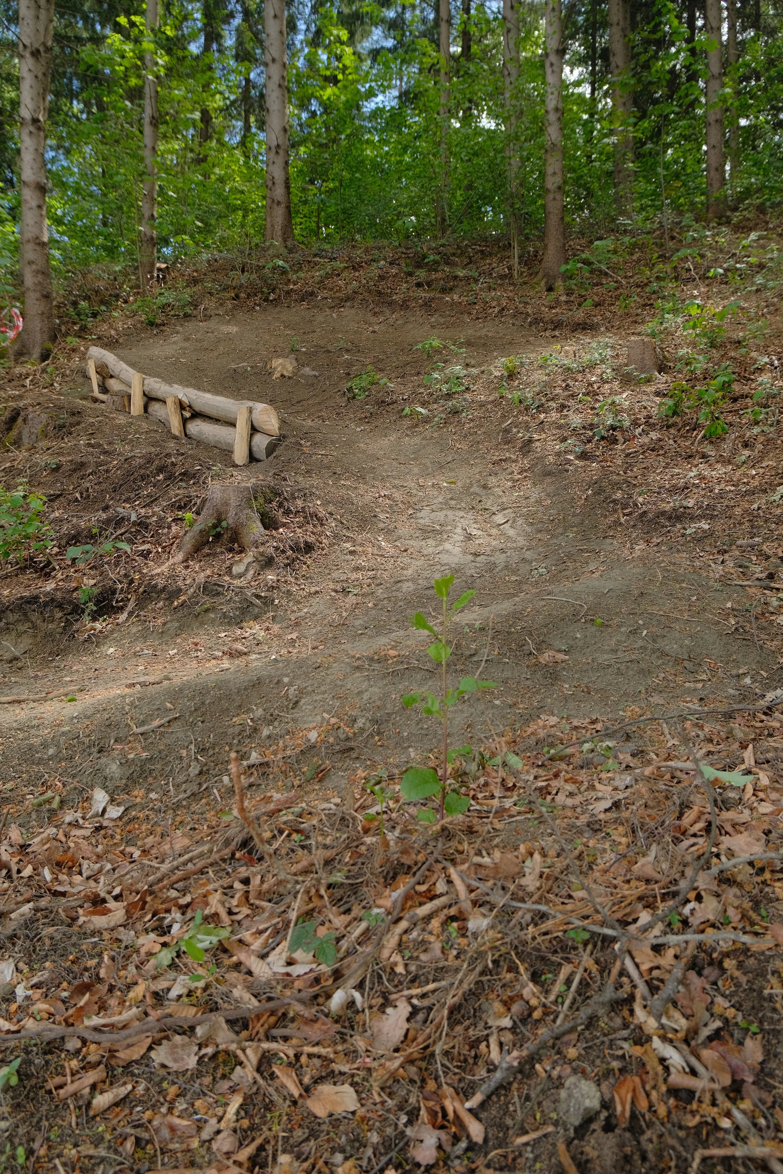 DSCF2632.JPG