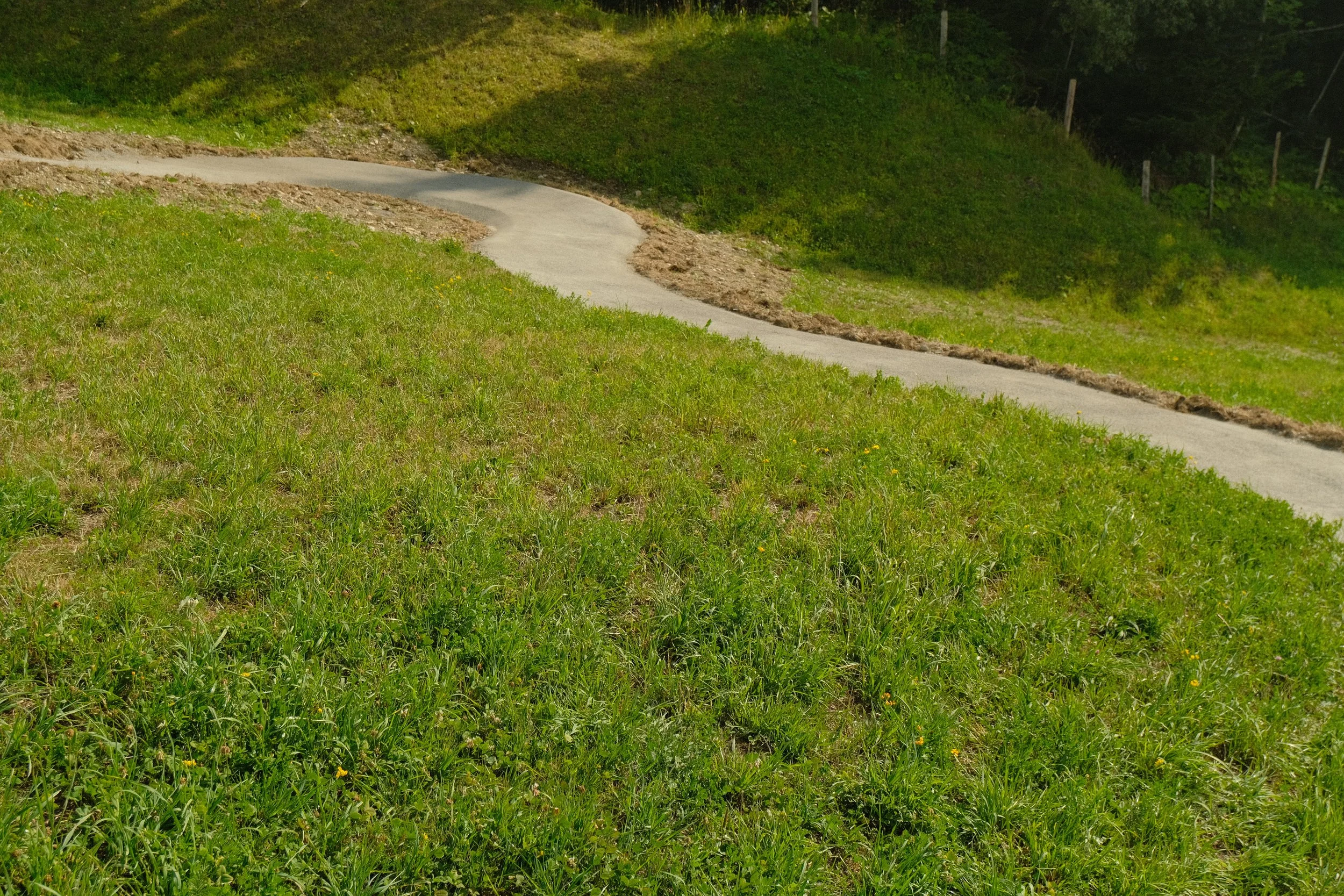DSCF3090.JPG