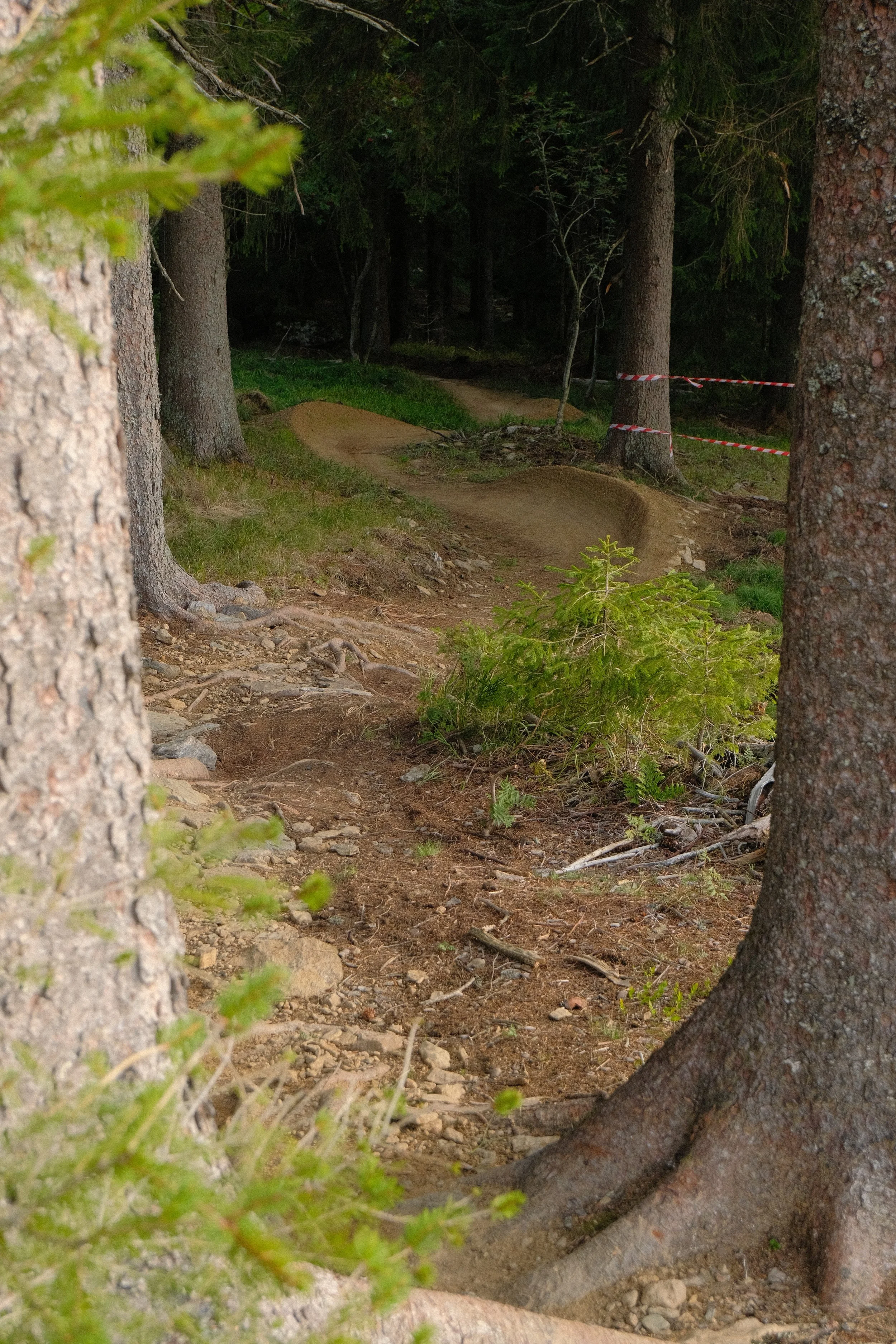 DSCF3152.JPG