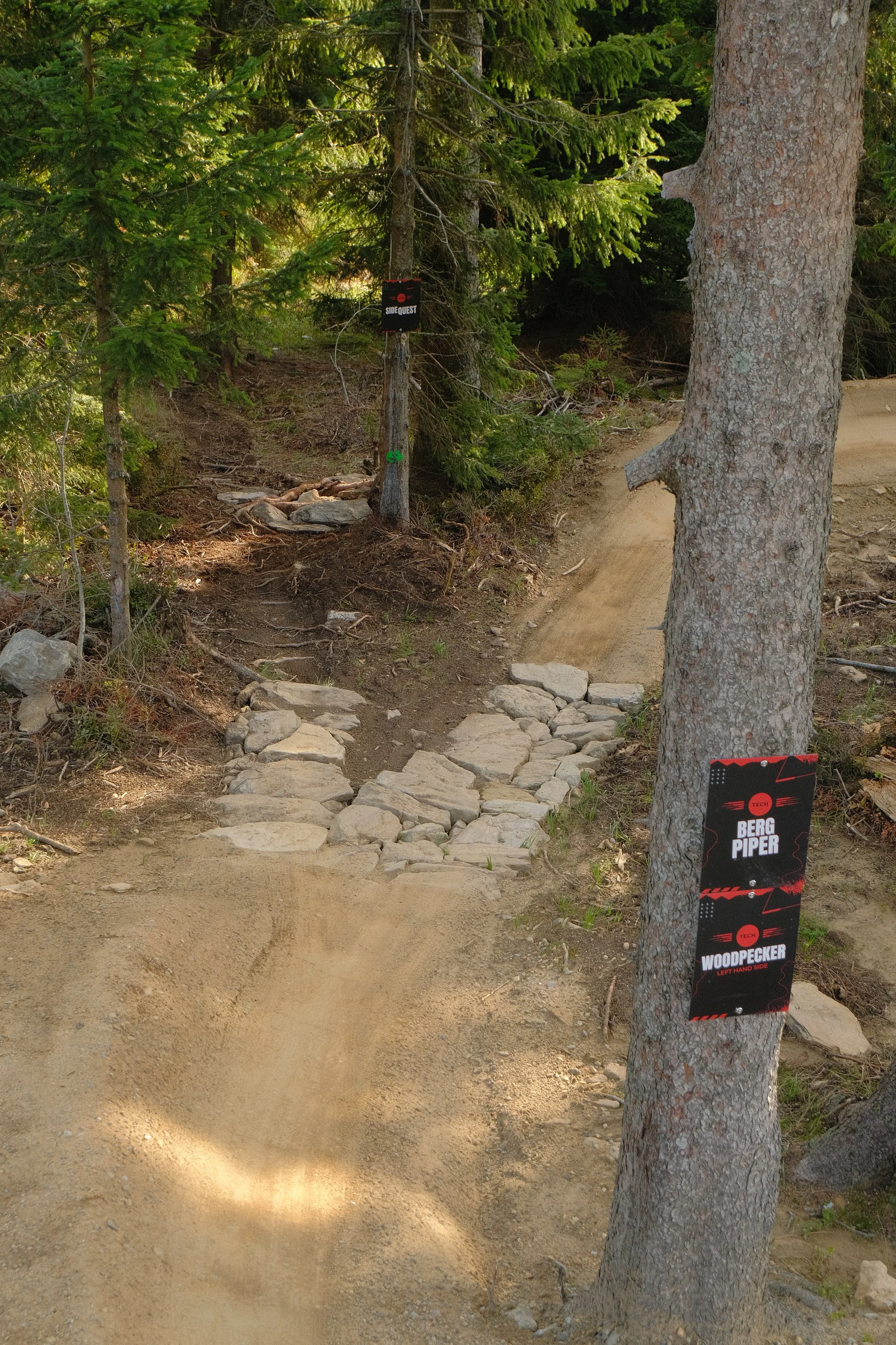 DSCF3162.JPG