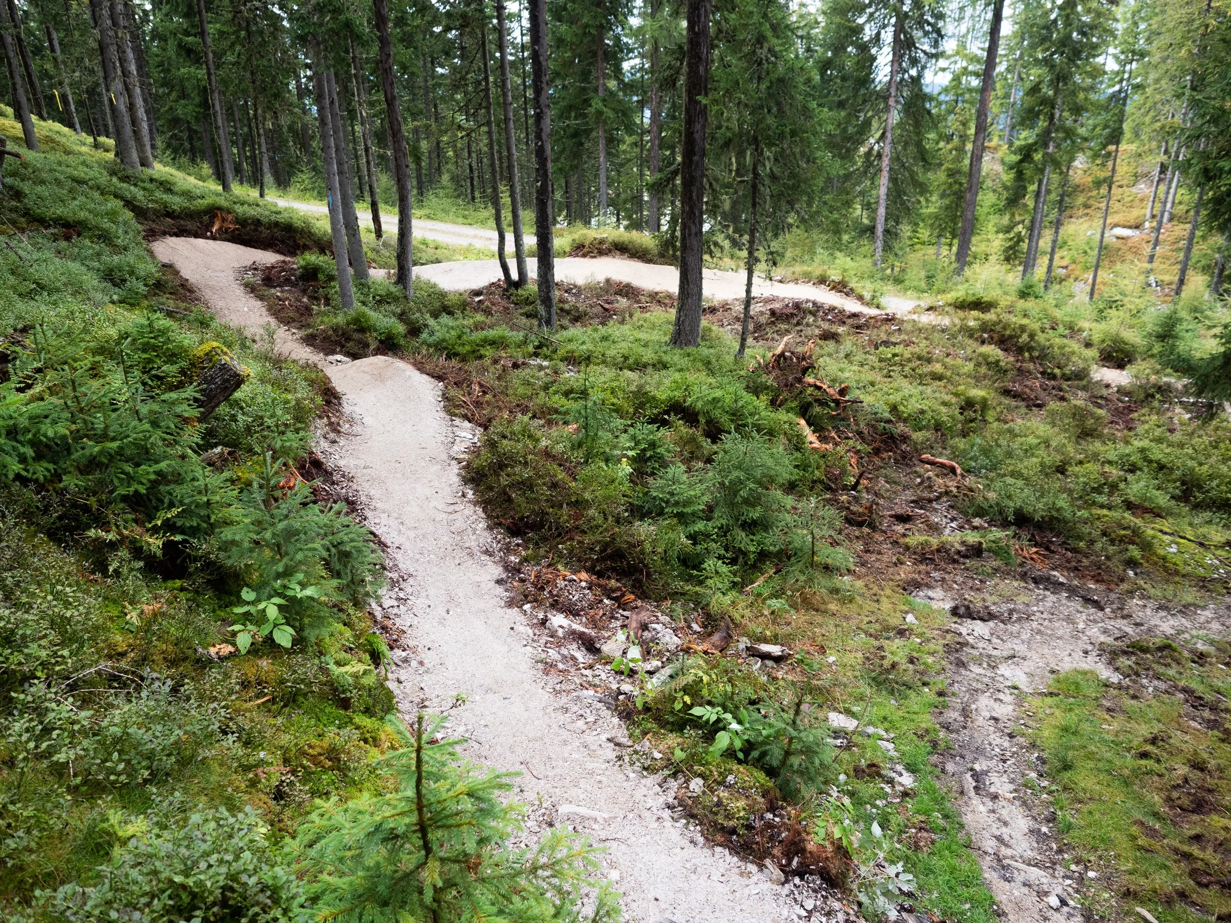 Trailtech at_Reiteralm02.jpg
