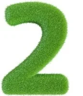 grass-number-two