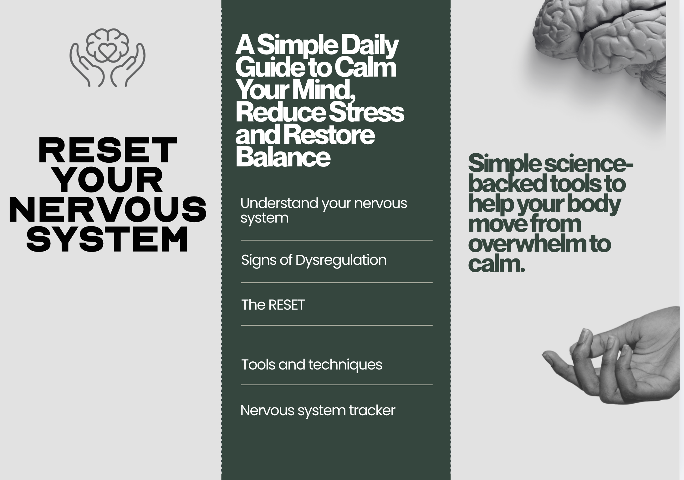 A digital infographic promoting tools and techniques for calming the nervous system and reducing stress. The design features a brain and hands with an emphasis on mental health, with text sections outlining a daily guide to understanding and resetting the nervous system.