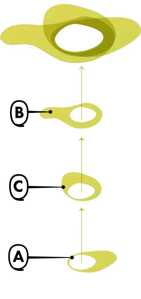 The graphic shows whree abstract shapes labelled A, B and C. with arrows indicating that when combined they form a larger compound shape.