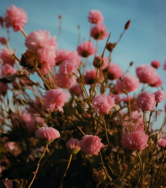 Marco Cavazzana-ai-visual-1.png