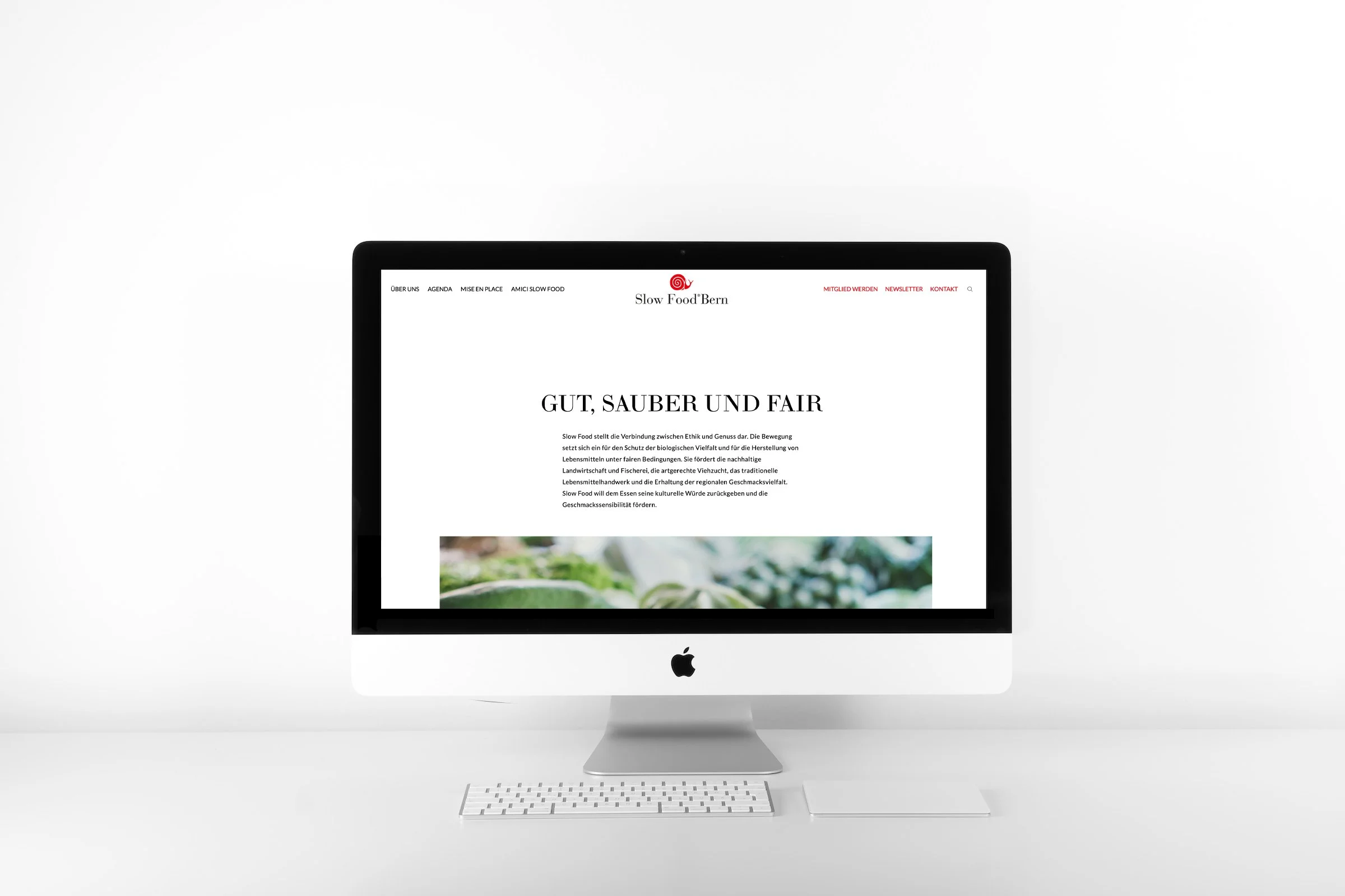 Bildschirm von iMac mit Screenshot von Webseite von Slow Food Bern