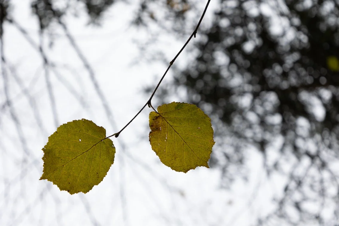 Darum hat bei mir die Ausrichtung lange nicht geklappt
