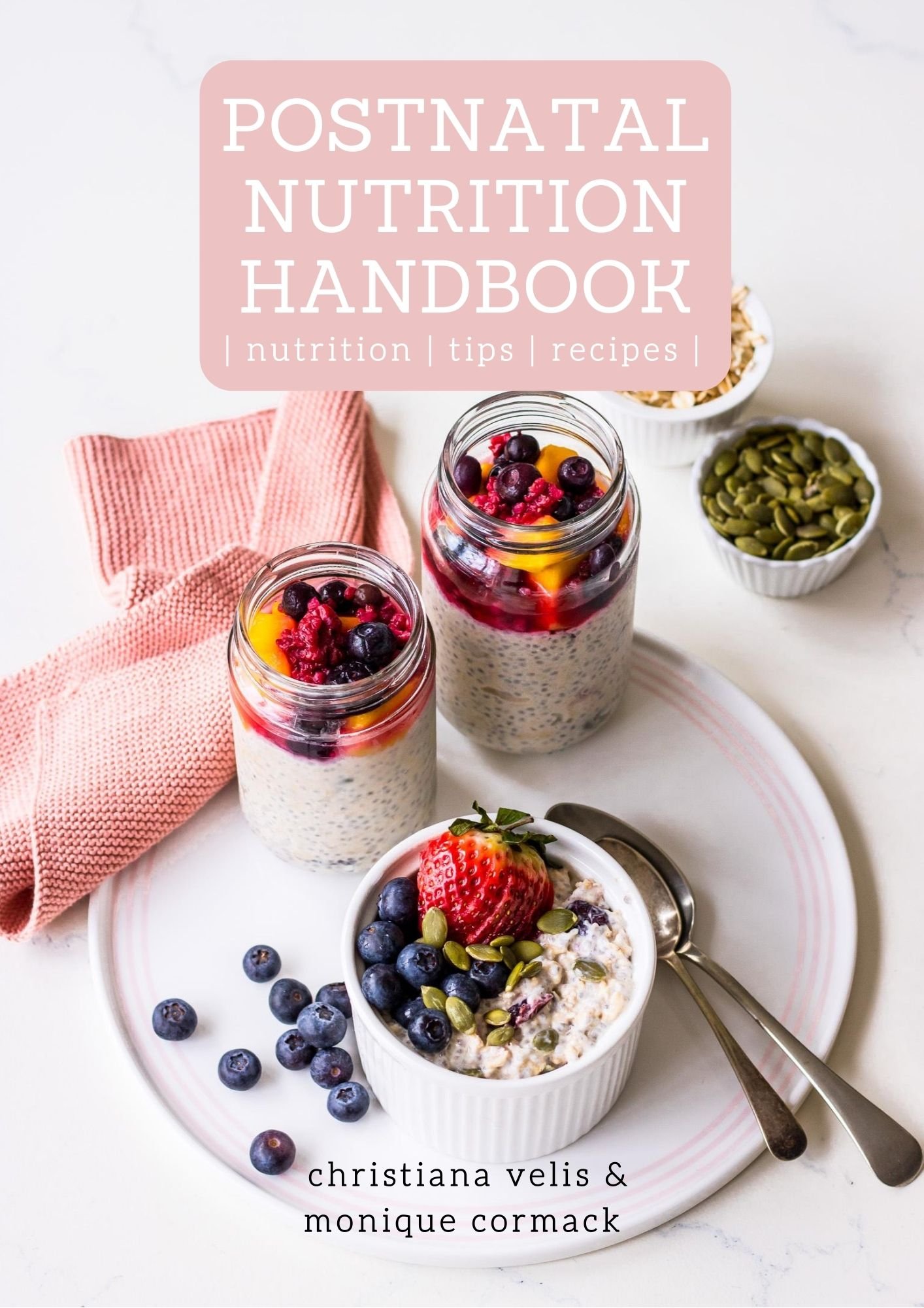 Postnatal-Nutrition-Handbook.jpeg