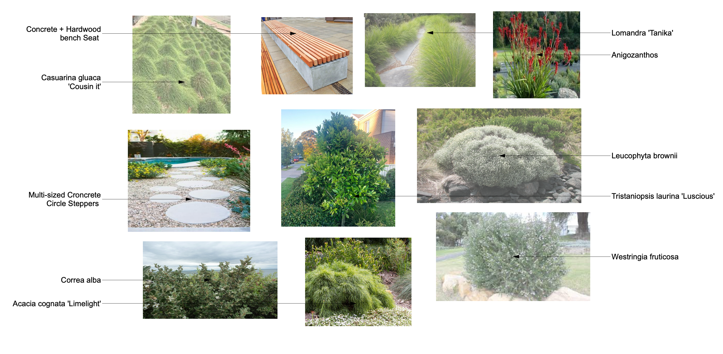 Screen Shot 2023-11-28 at 7.28.18 pm.png