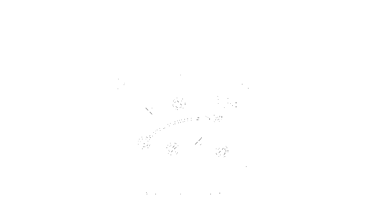 untitled (2).png
