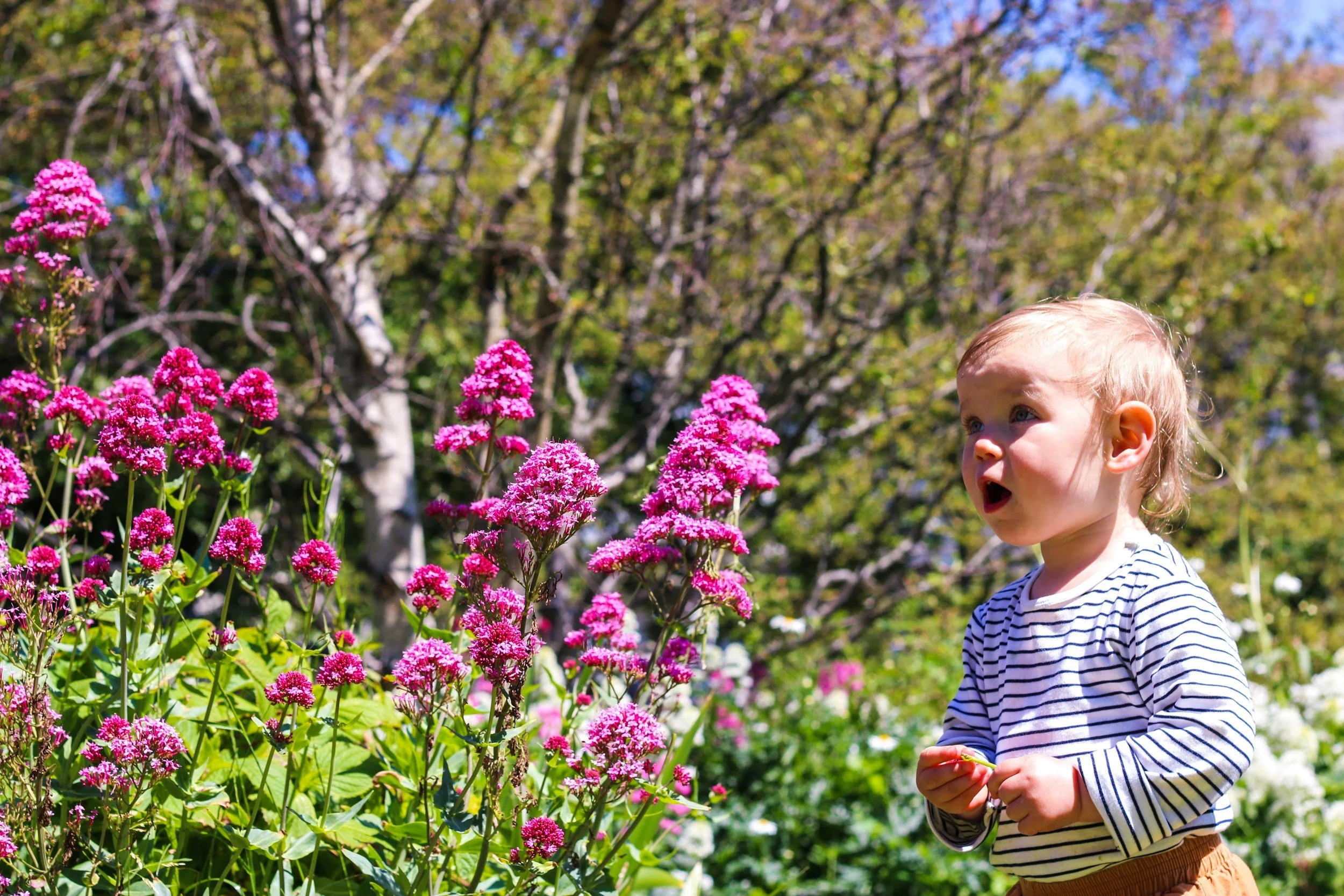 The April Edit: Fresh Finds for Spring Days