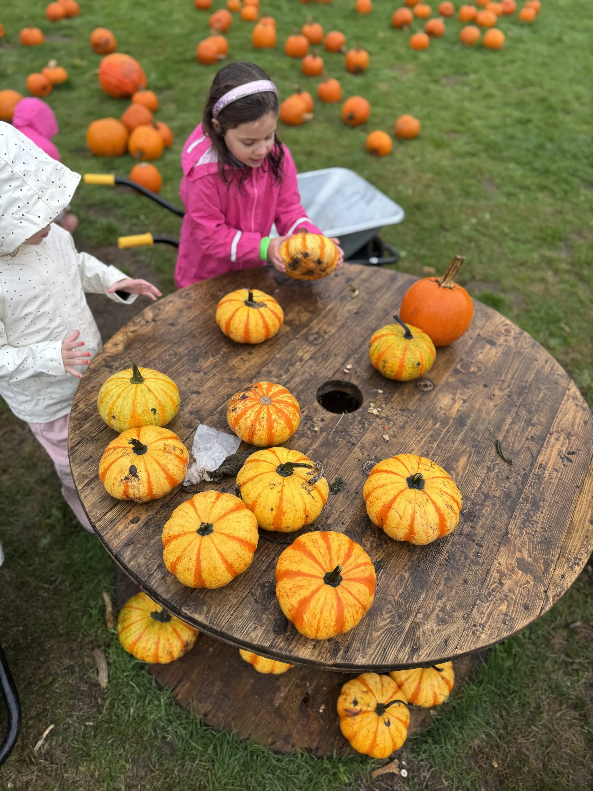 The Best Pumpkin Patches near London for families in 2026