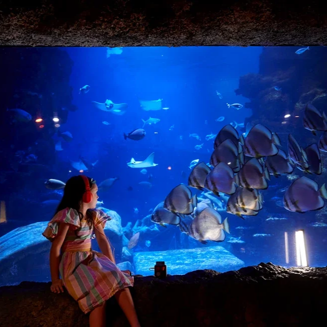 Child wearing audio tour headphones at aquarium, watching tropical fish and rays in large ocean tank experience