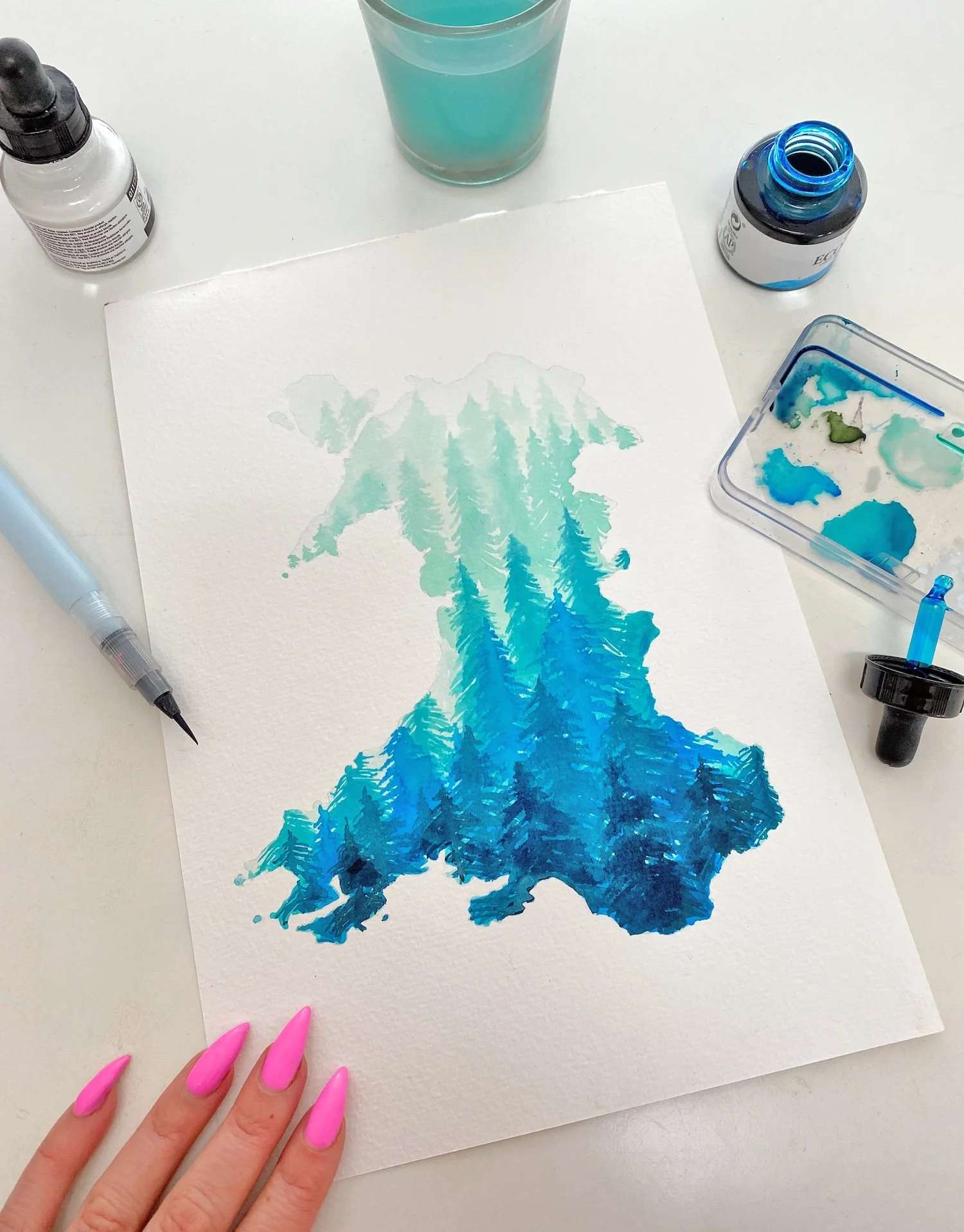 11th April - Welsh Wilderness Painting Workshop with Niki Pilkington