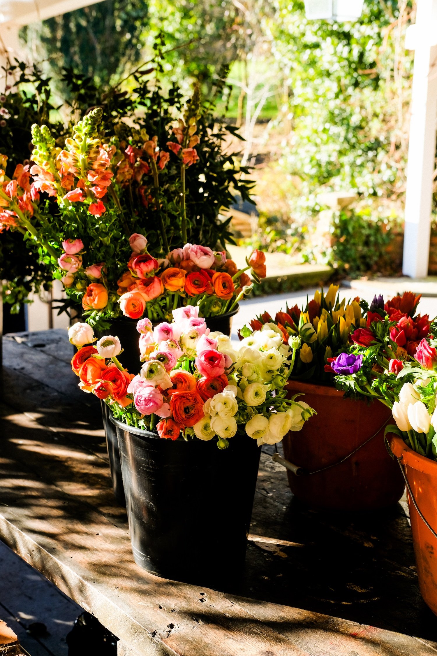 29th March - Seasonal Bouquets with Welshborn Flowers