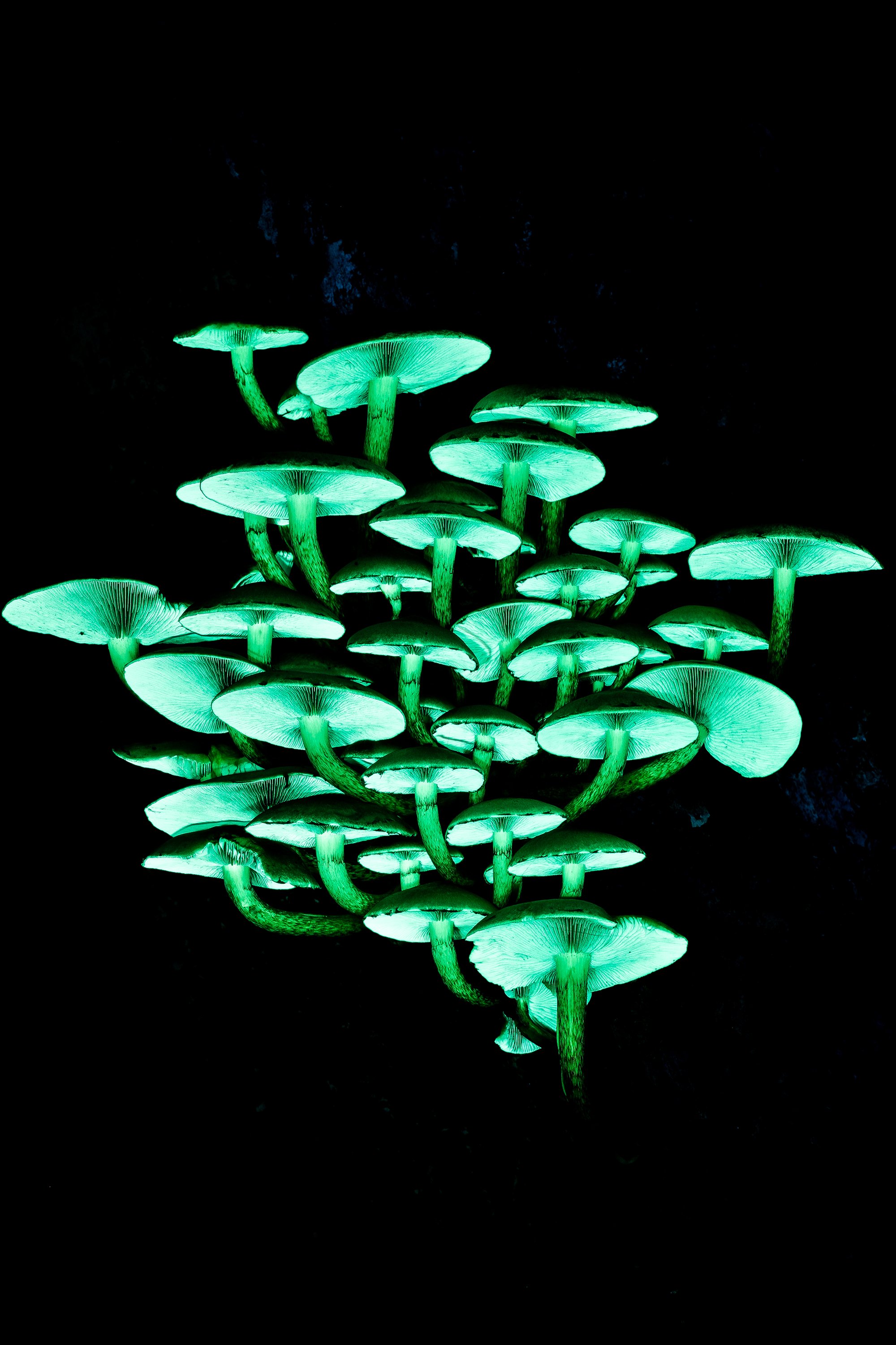 24th October - Dusk Wildlife Walk with David Winnard