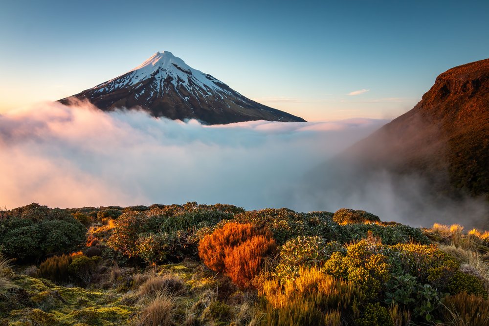 NZ-DE-Landscapes-2565476.jpg