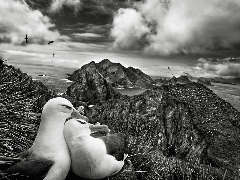 Sebastiao-Salgado-image-taken-from-the-2013-book-Genesis-Image-source.jpg