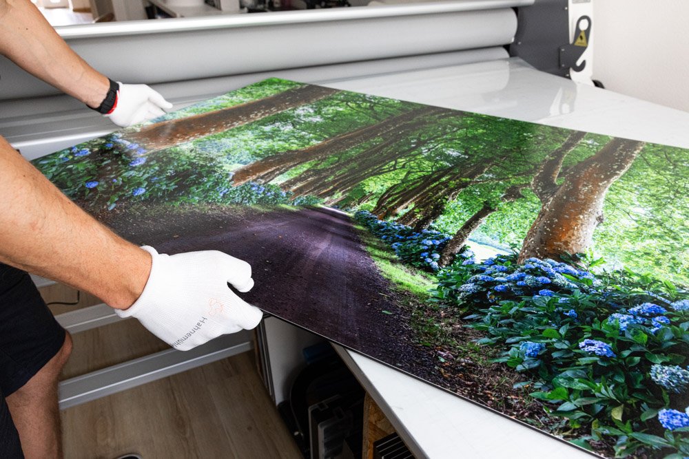 kvalitna_tlac__fine_ art_print_studio.jpg