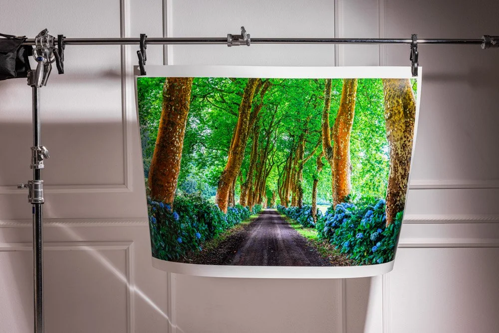 machnic_fine_ art_print_studio.jpg