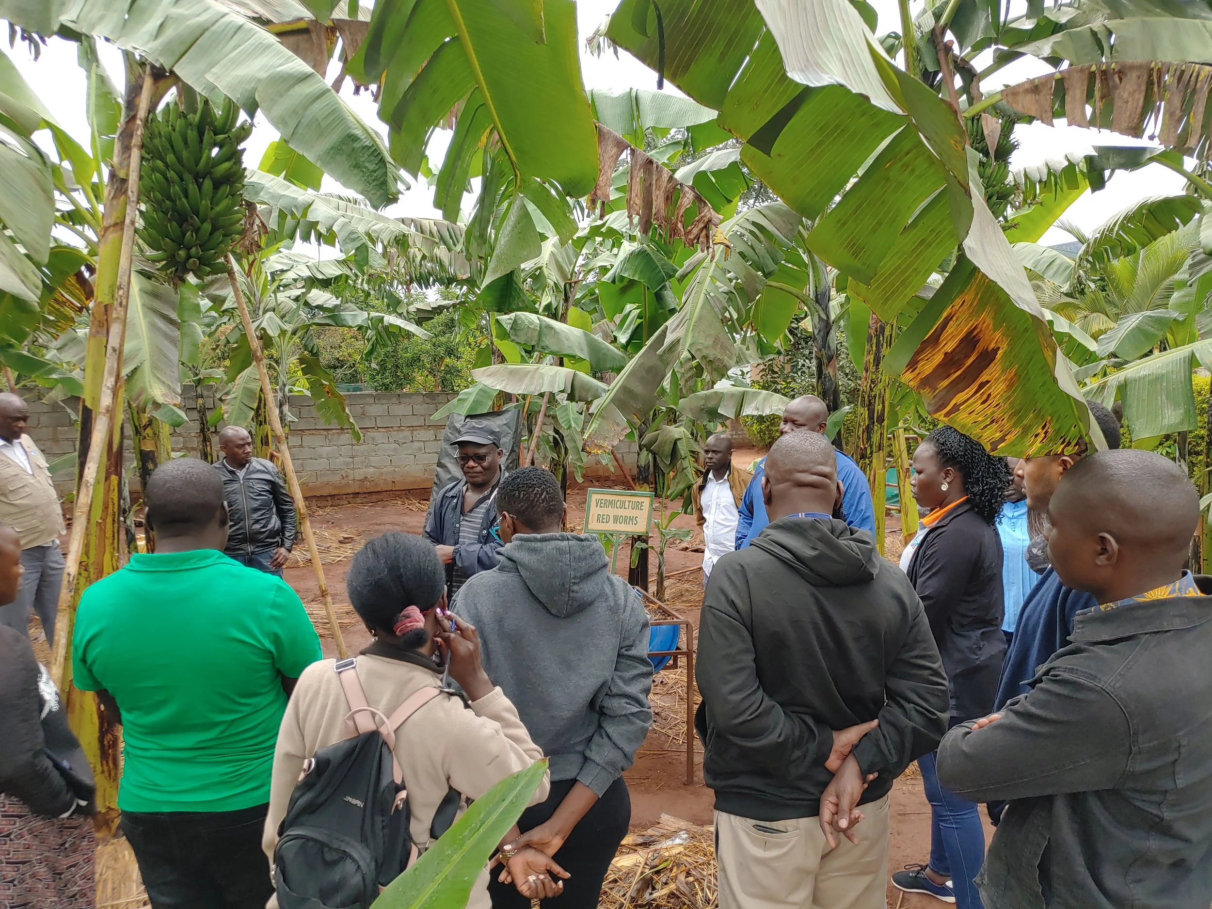 An Organisational Approach to working on the HDP Nexus in Uganda