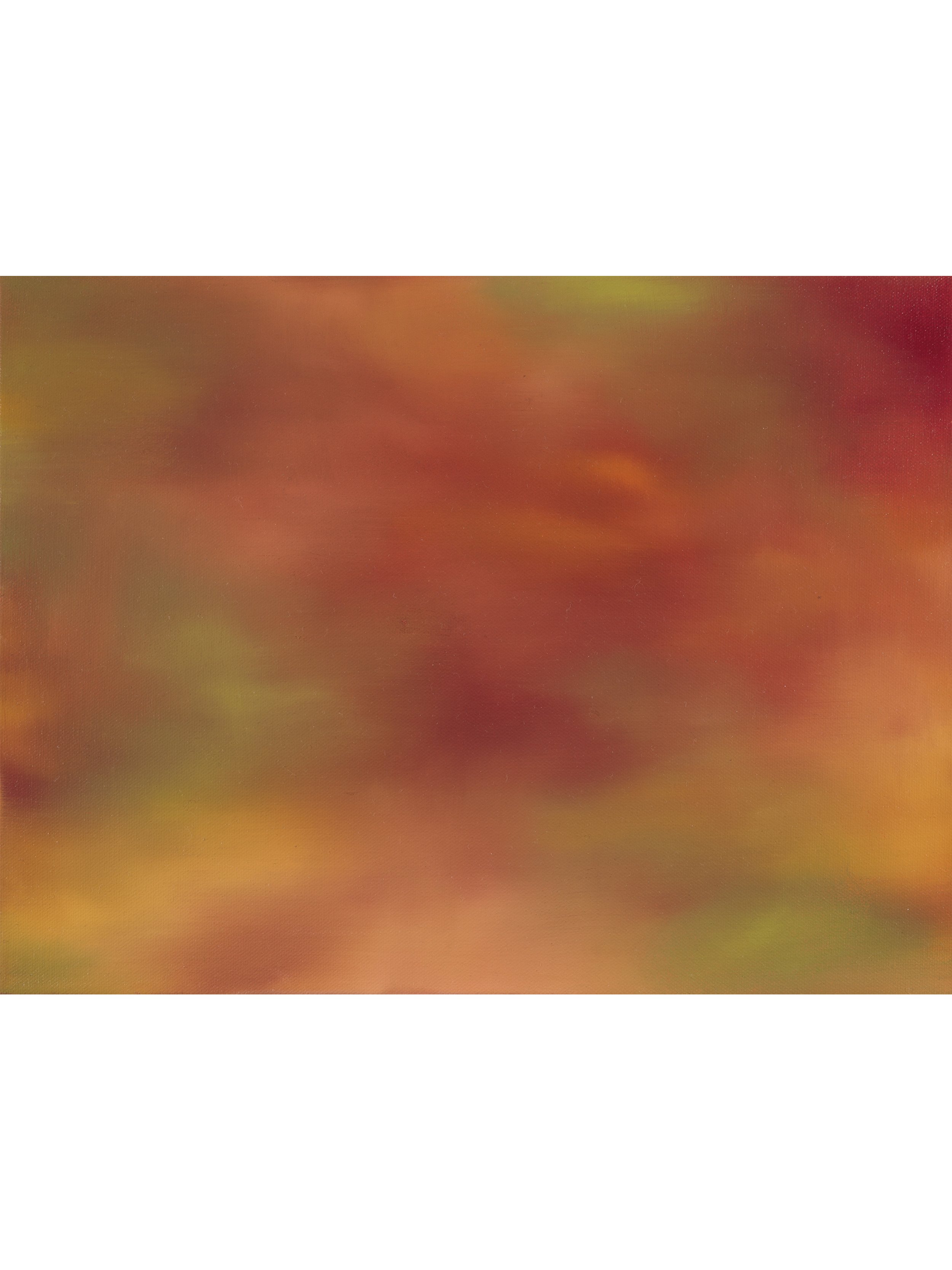 "Field of Accretion I" by Delia Hou