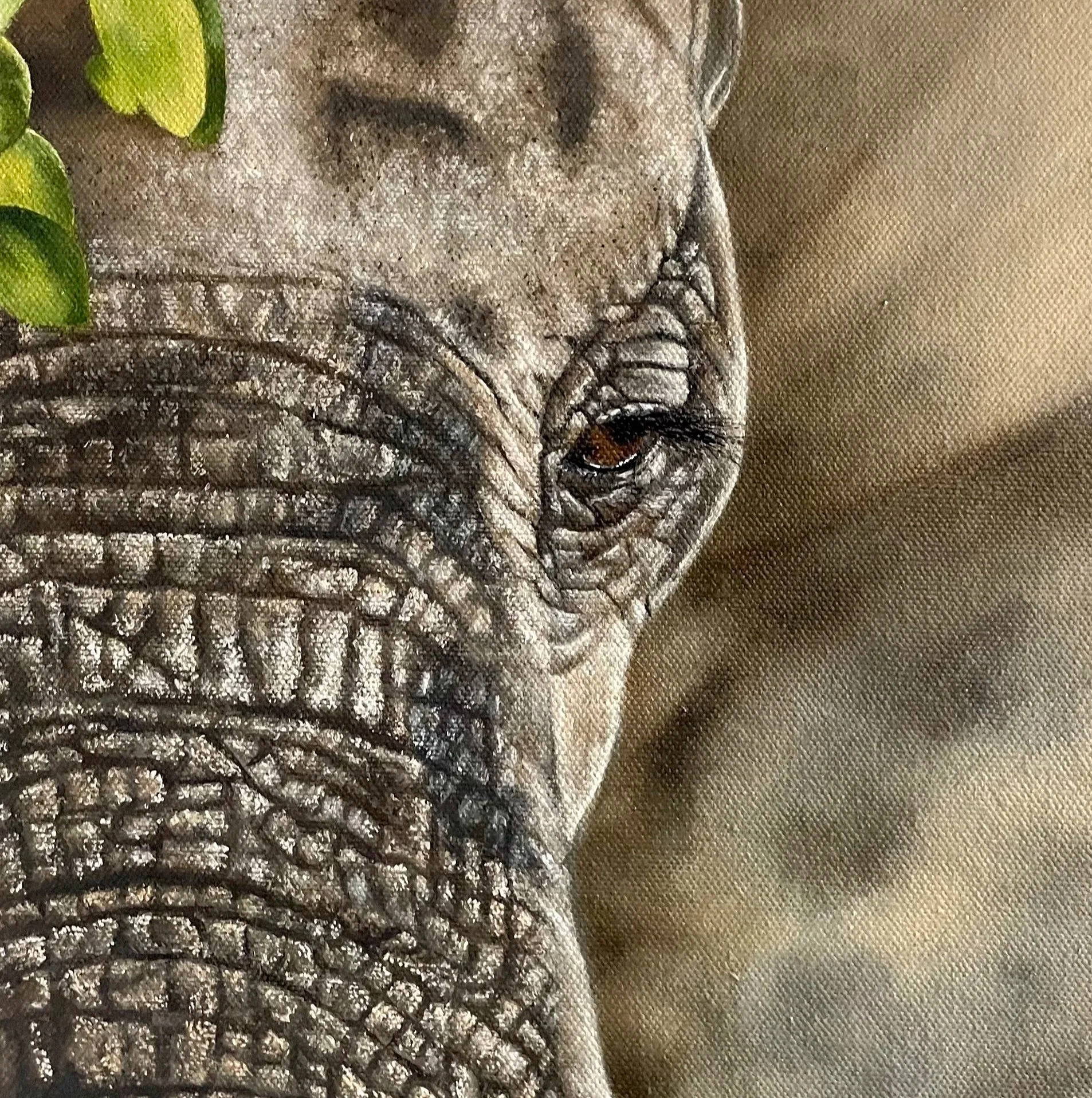 Ivory Canopy
