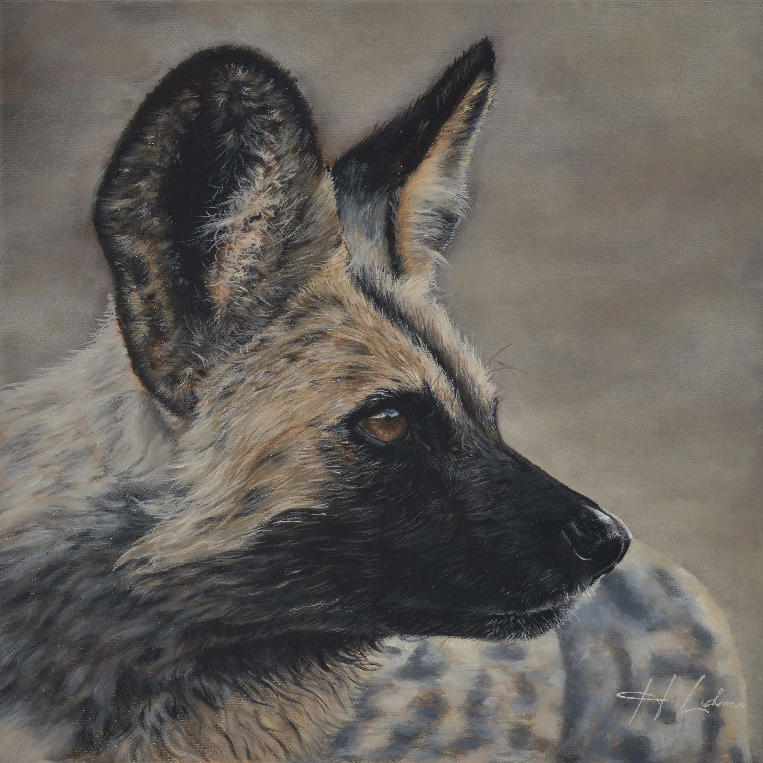 Farewell Cry - African Wild Dog - In partnership with Painted Dog Conservation
