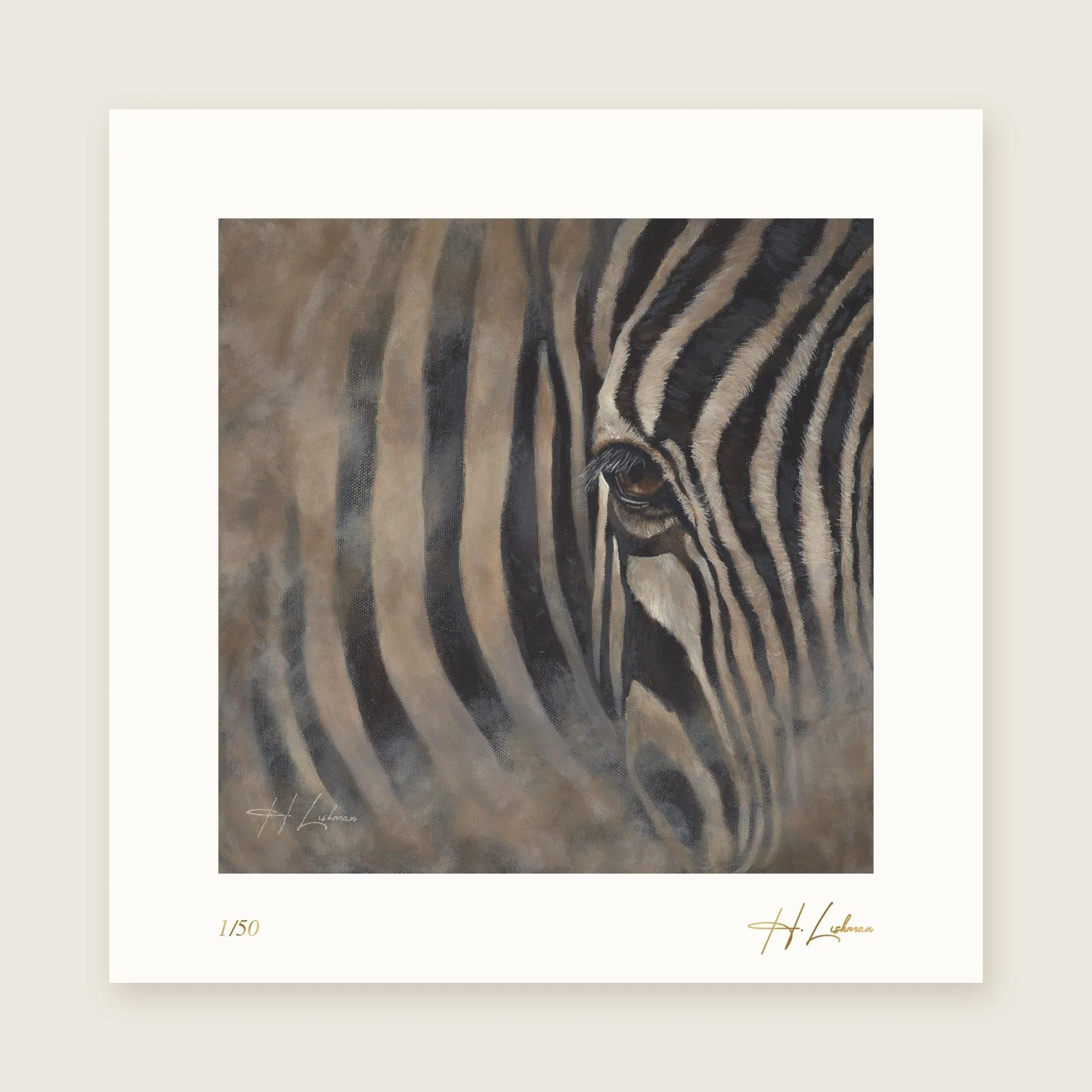 MIRAGE STRIPES — Exhibition Edition Pre-Order