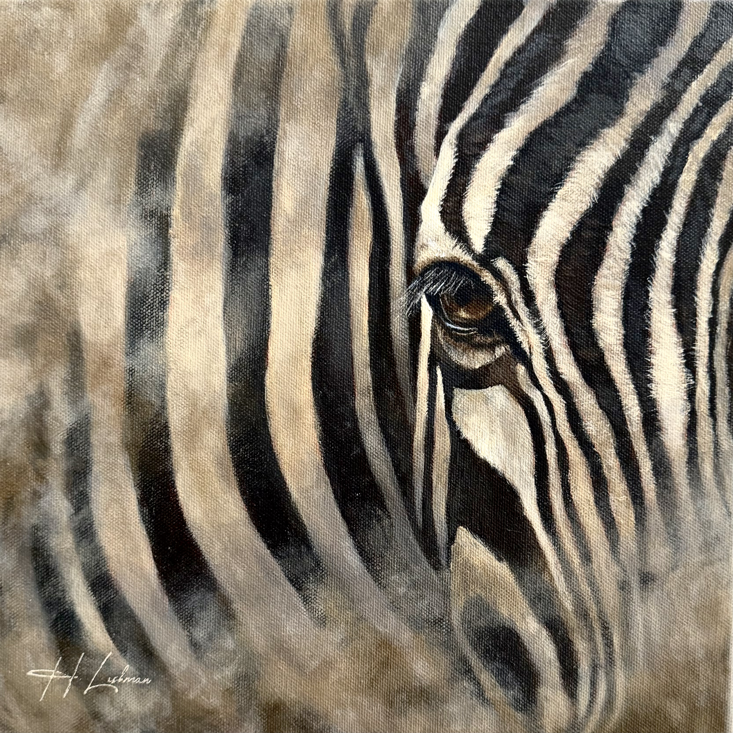 Mirage Stripes