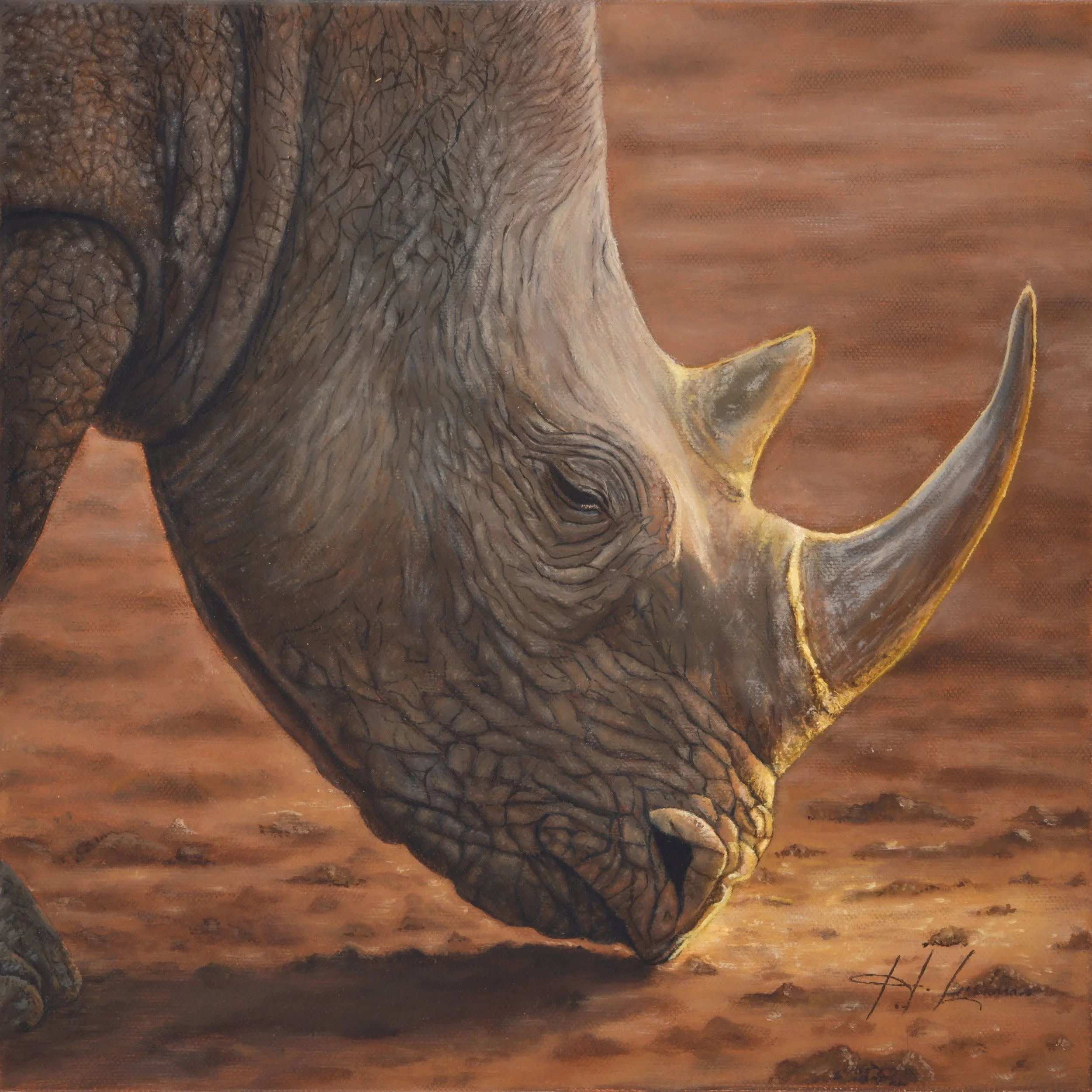 Final Charge - Black Rhino - In partnership with Save the Rhino