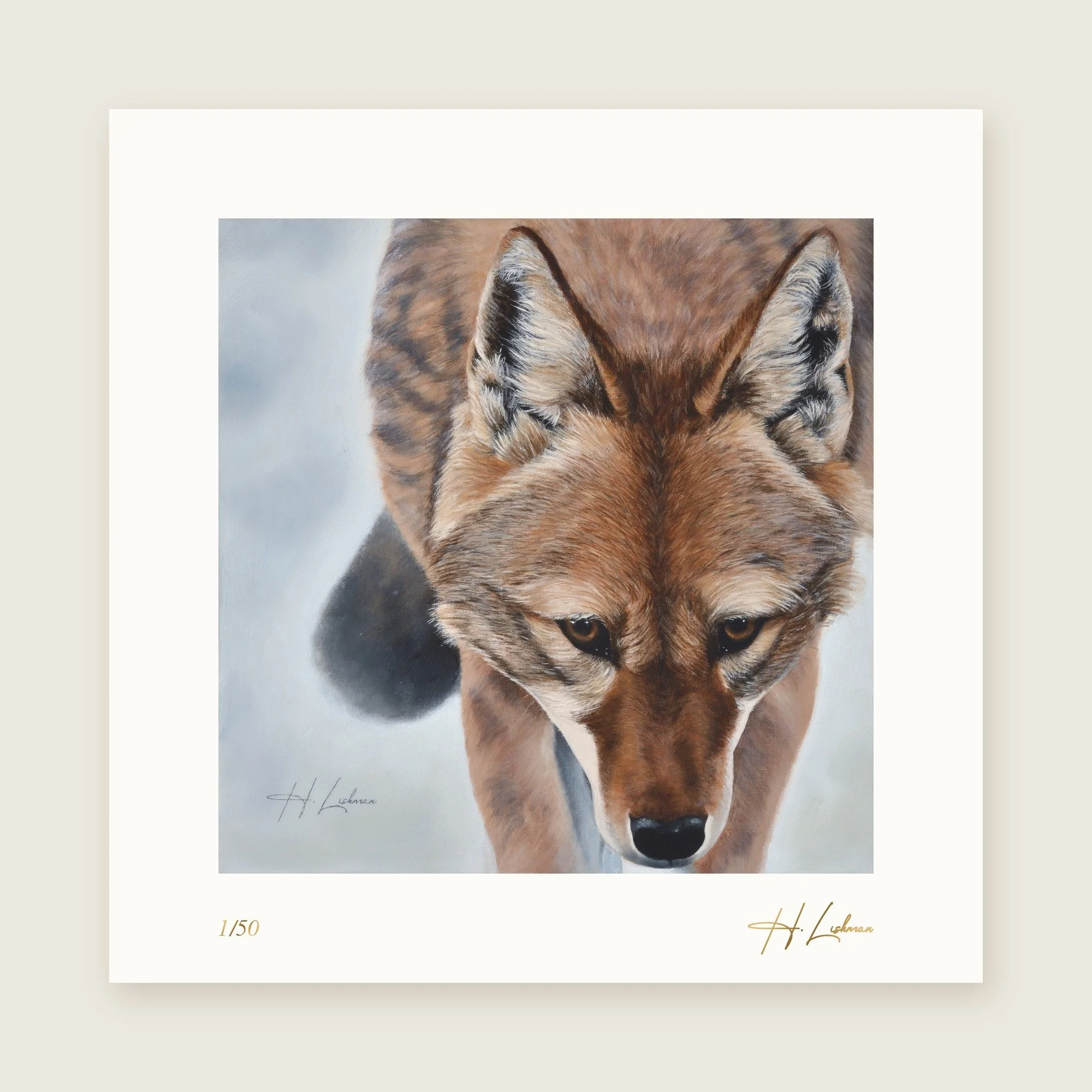 SILENT SHADOW — Exhibition Edition Pre-Order