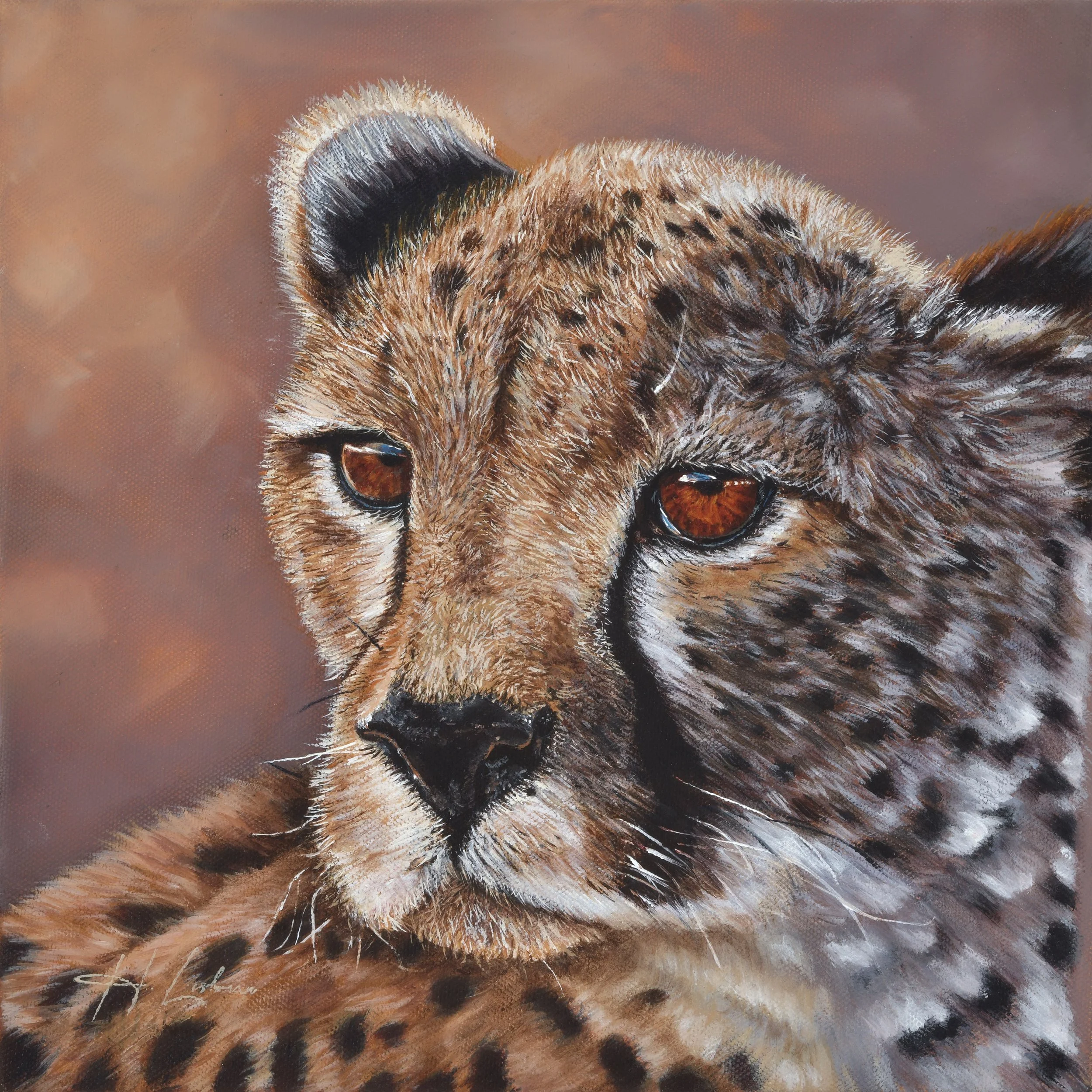 Ghosted Plains - Cheetah - In partnership with the Cheetah Conservation Fund