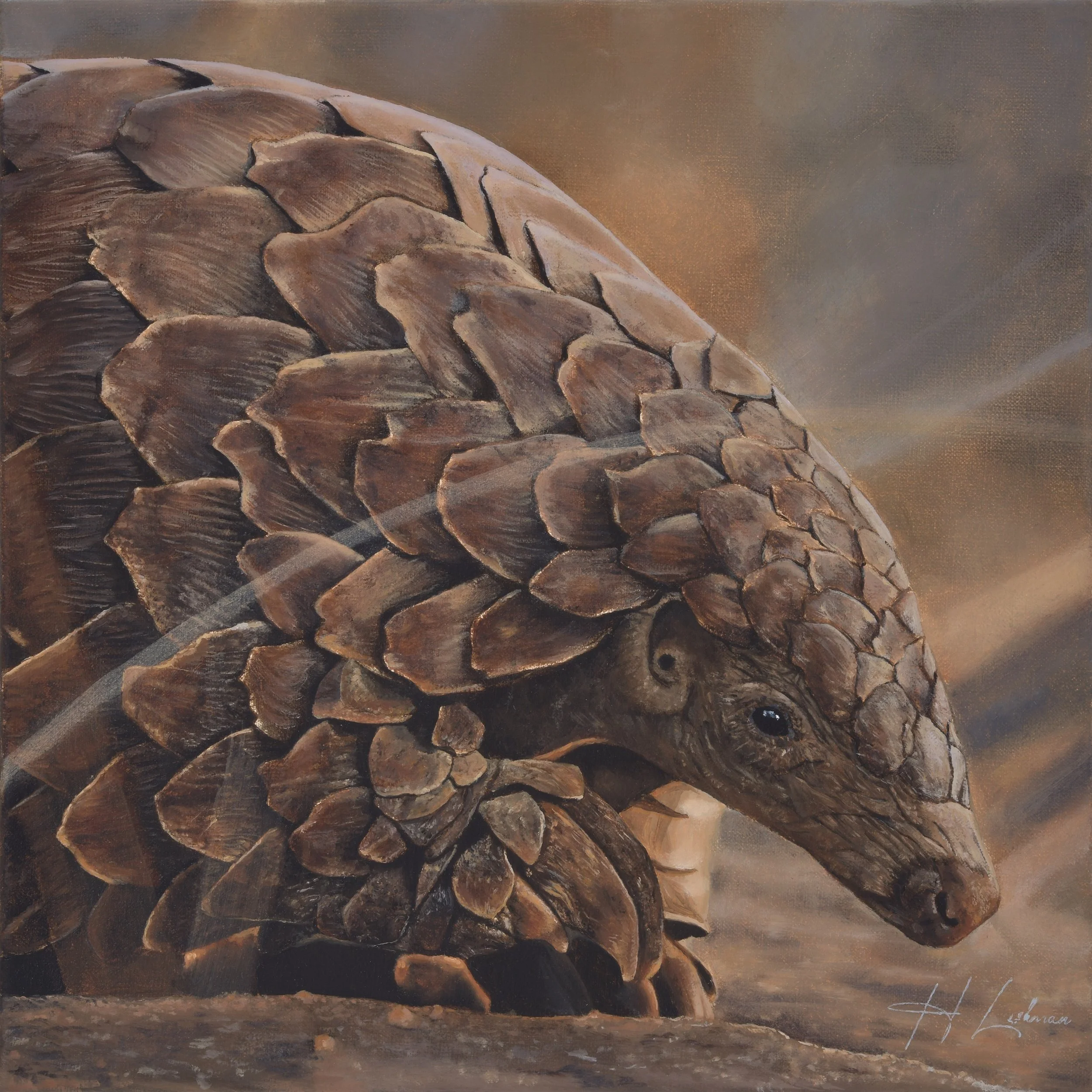 Last Defence - Pangolin - In partnership with the Pangolin Conservation & Research Fund (PCRF)