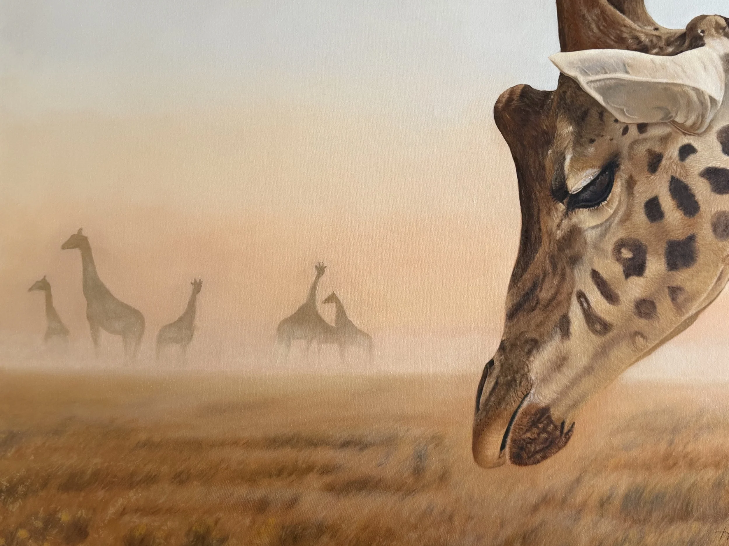 'Samburu Haze'