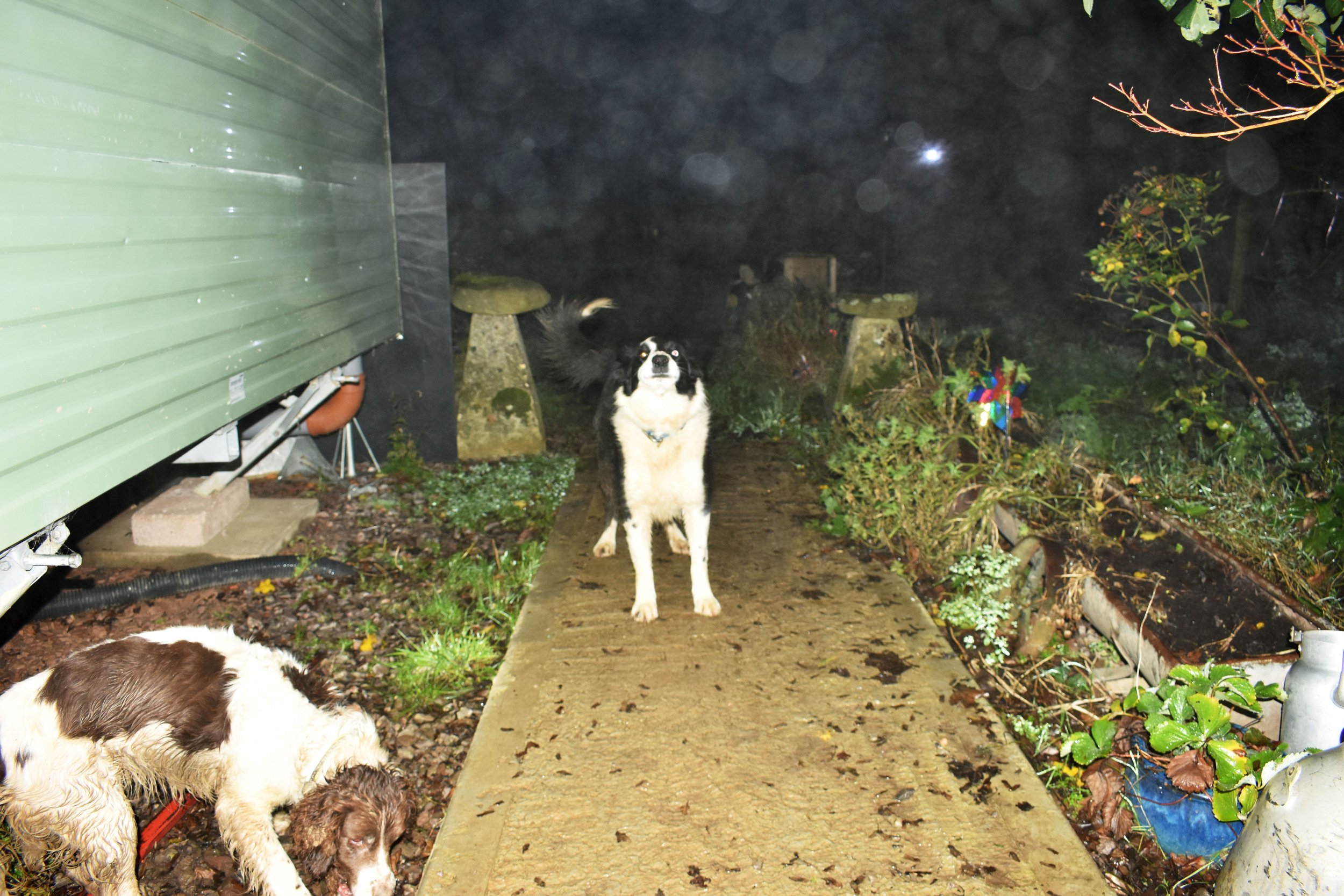 9AN_AD6801_livingthedream_0112.jpg