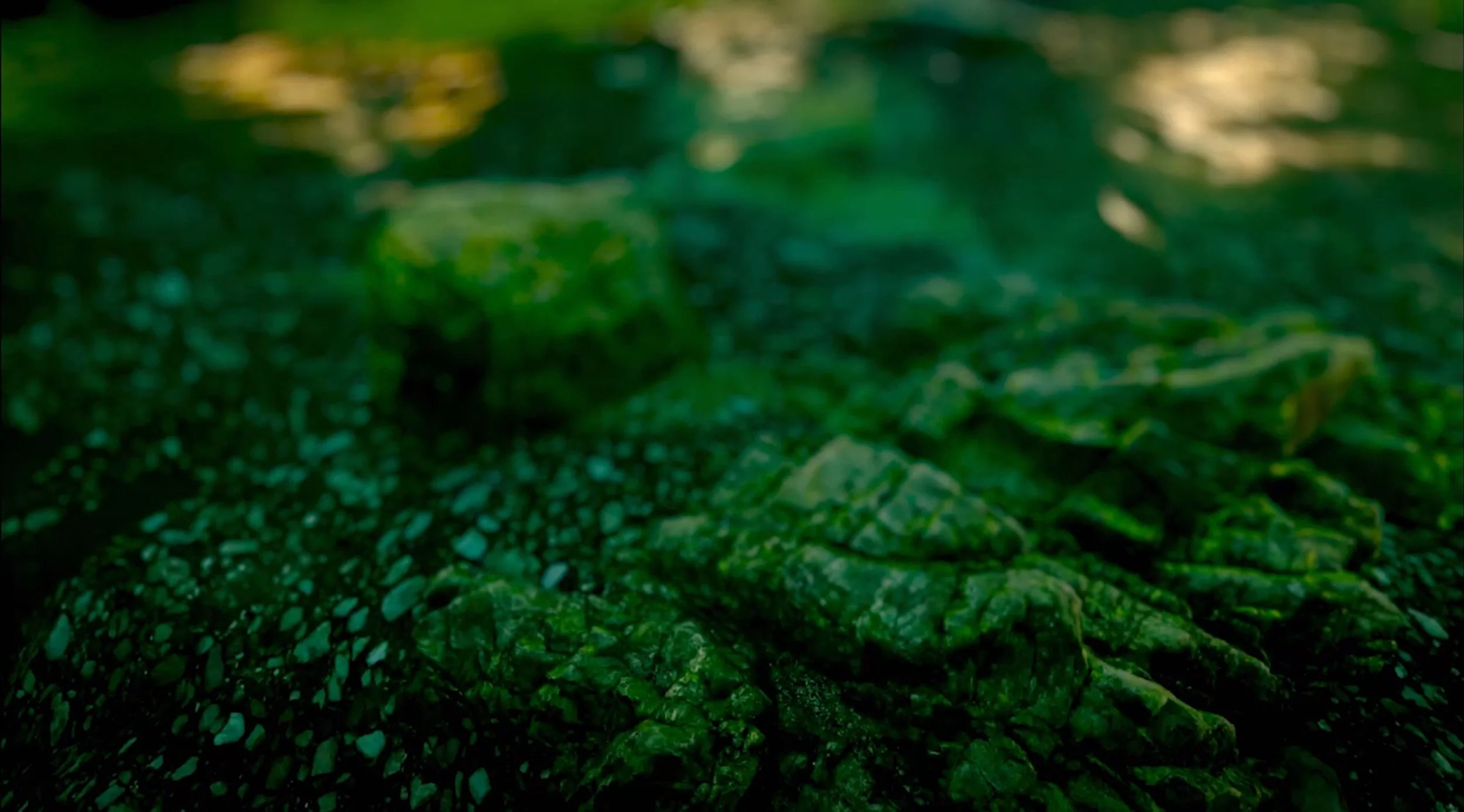 Heineken VR Experience